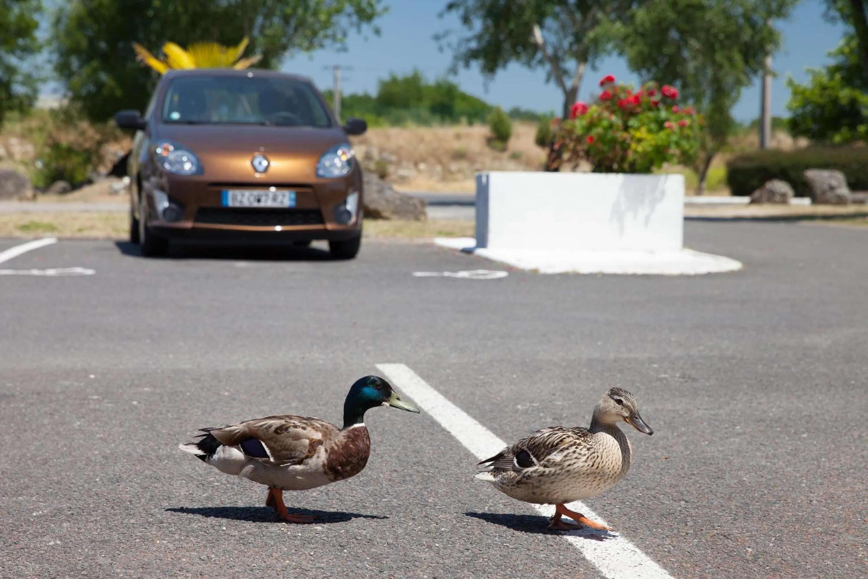 View (from property/room) in The Originals Access, Hôtel Bordeaux Lac