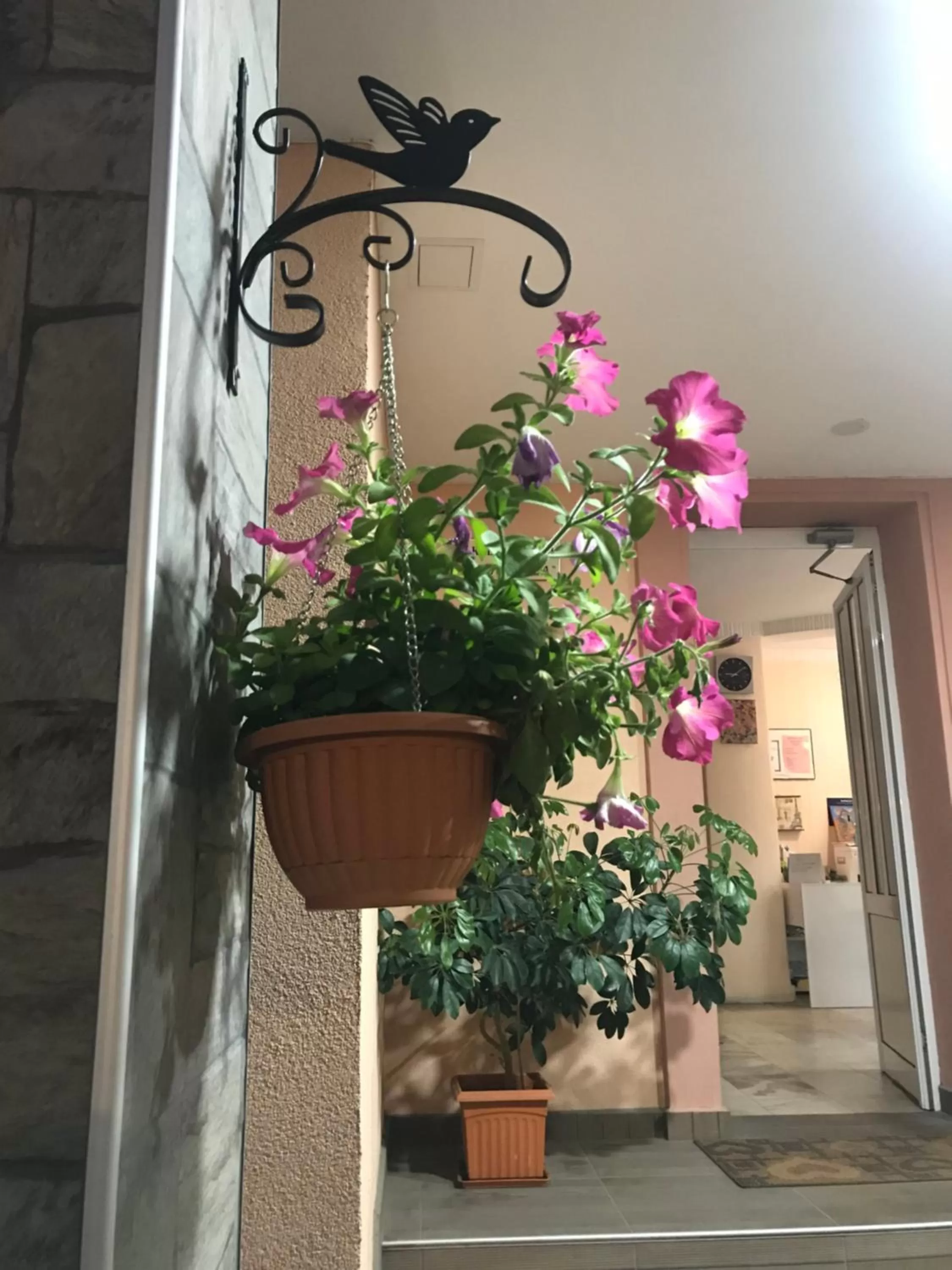 Facade/entrance in White Rose Guest Rooms