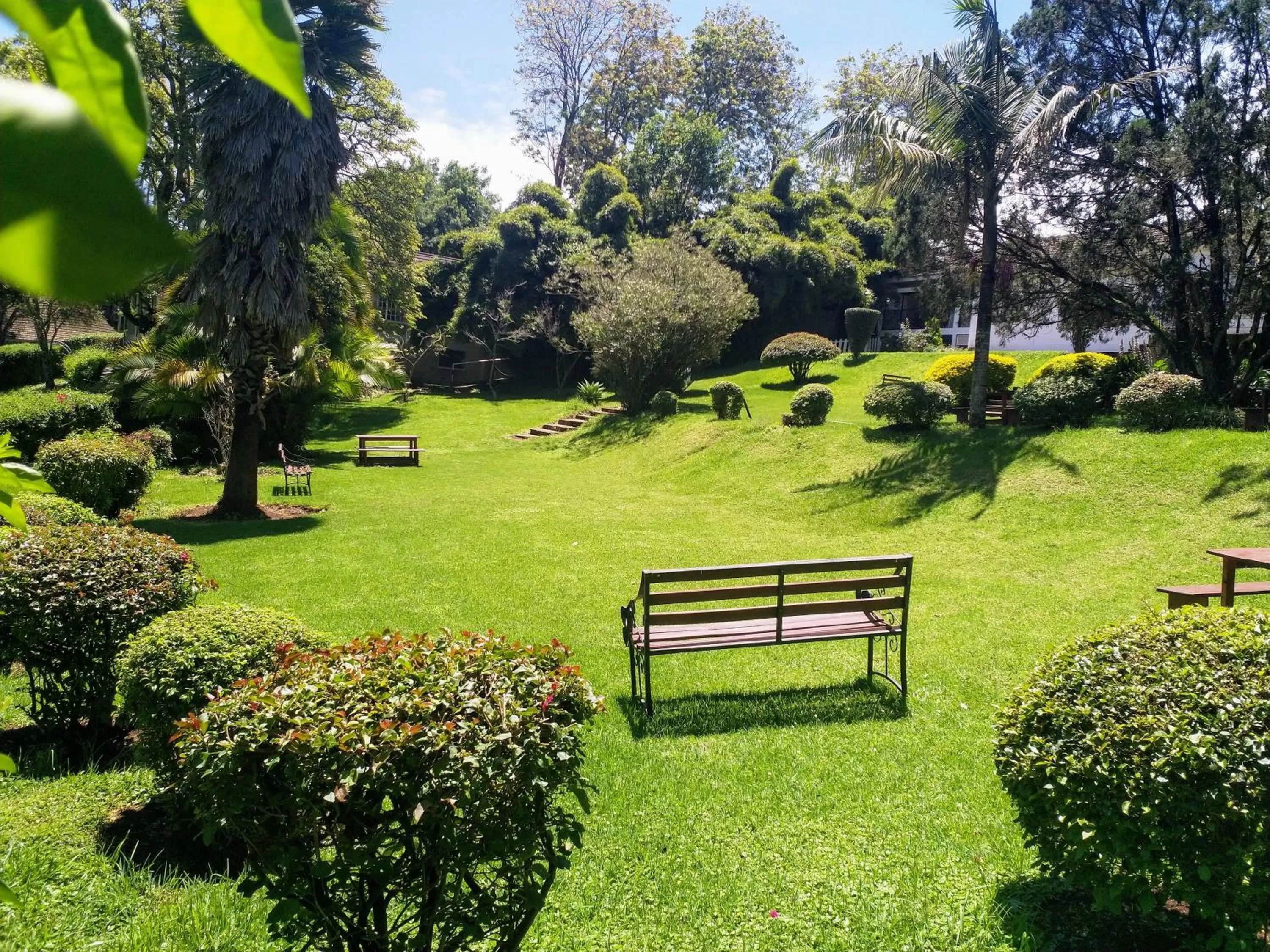 Garden in Thayu House