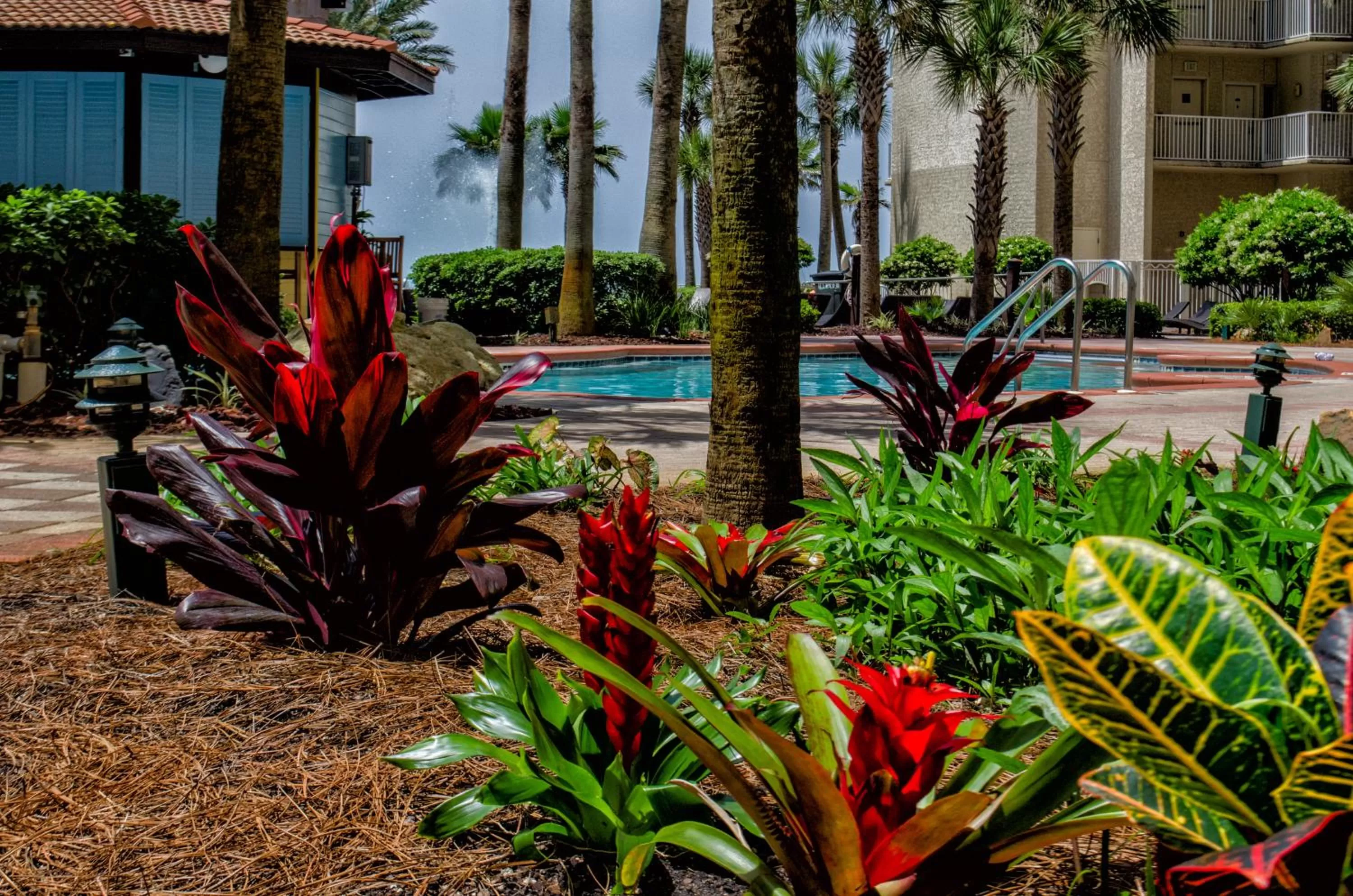 Garden view in Shores of Panama Resort