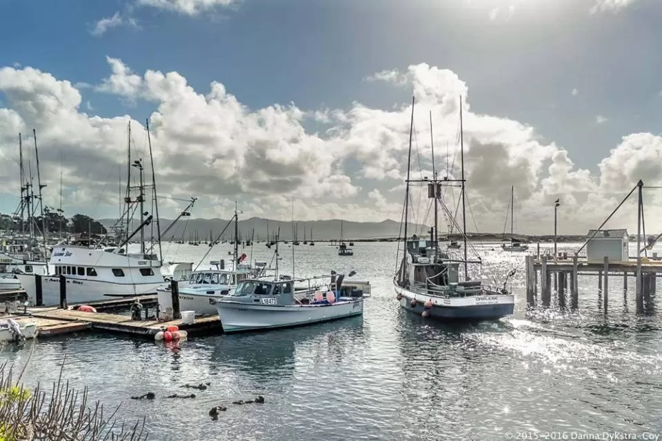 Natural landscape in Front Street Inn and Spa