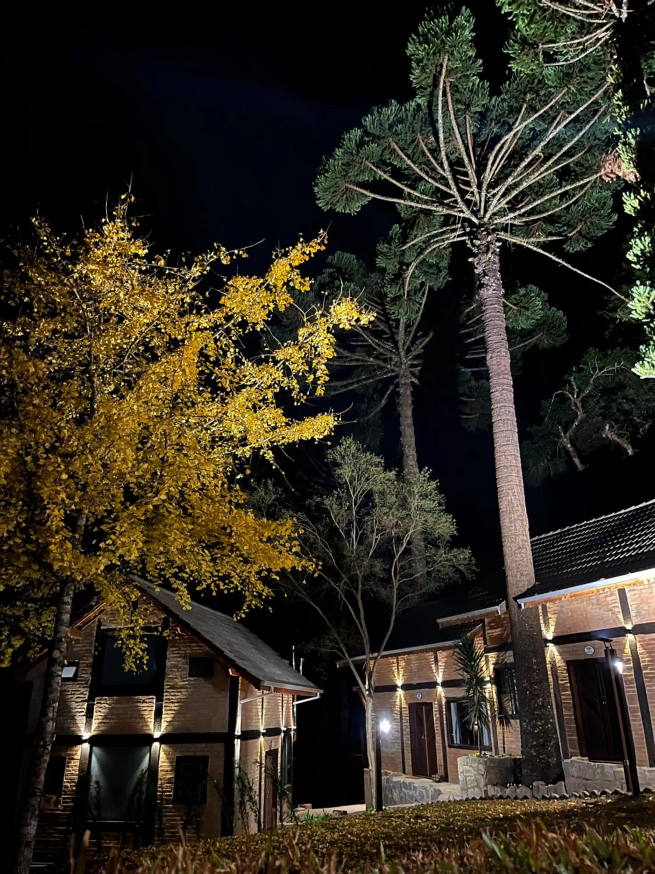 Garden in Pousada Dona Bendita