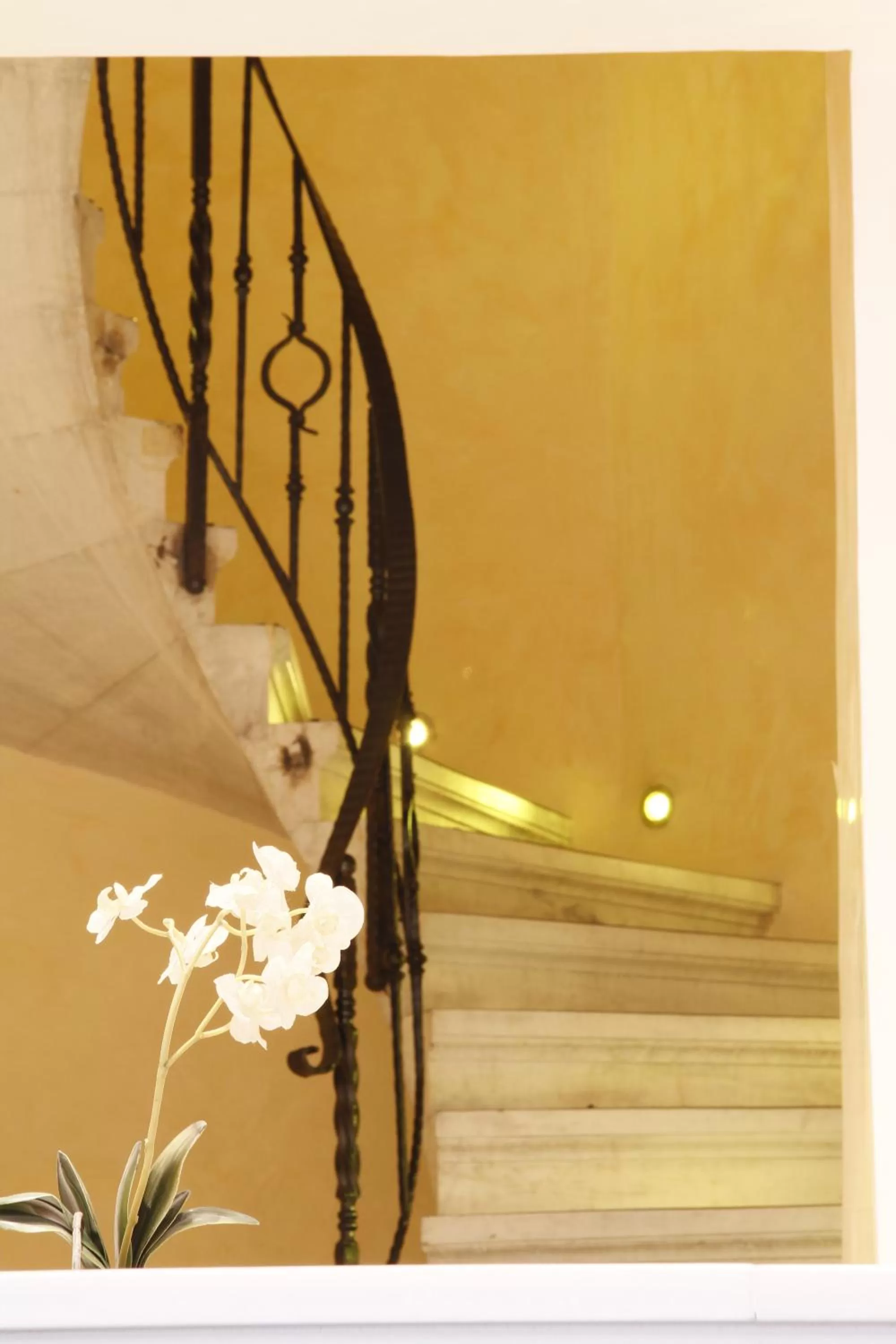 Other in Piraeus Theoxenia Hotel