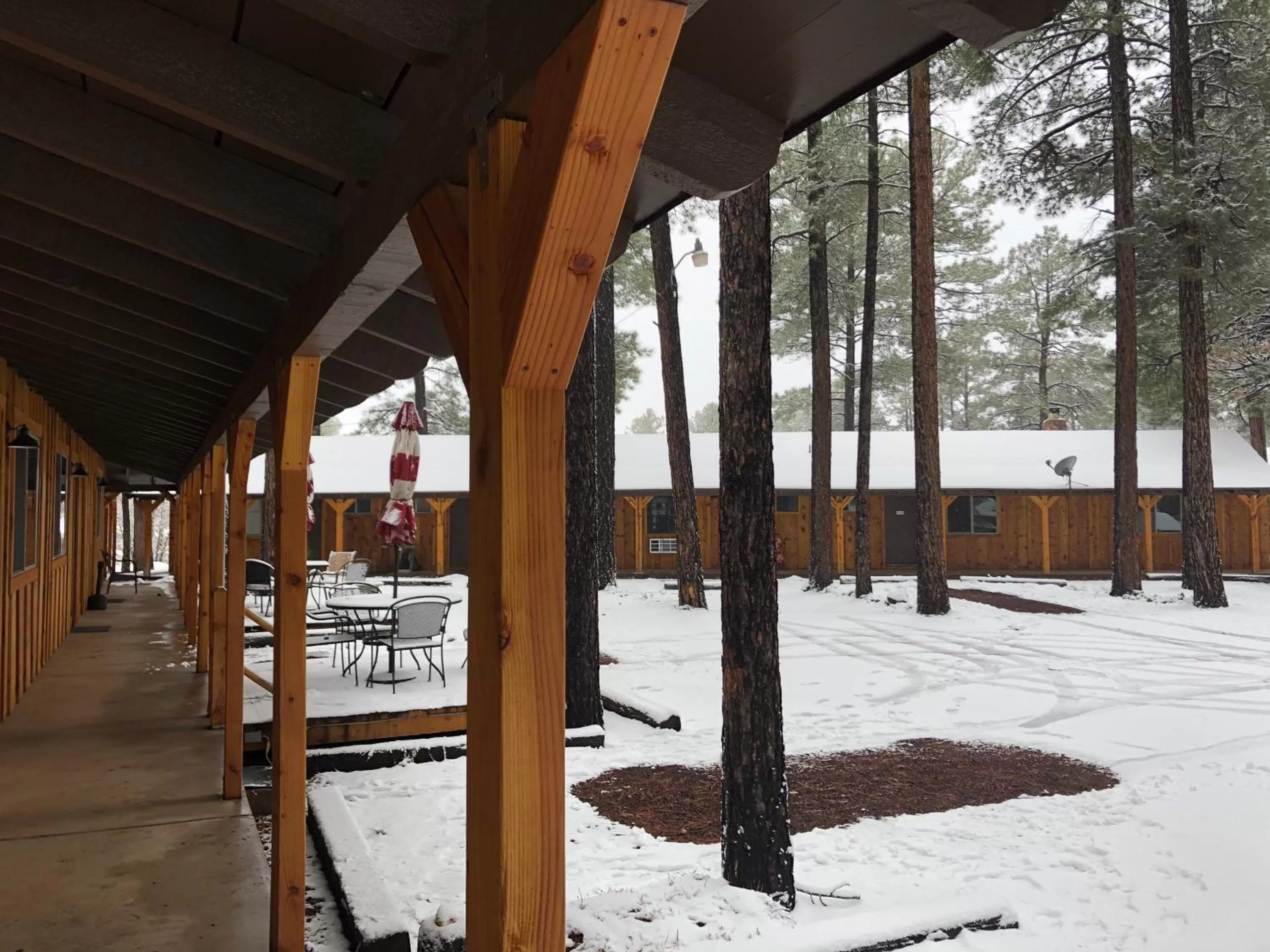 Winter in TimberLodge Inn