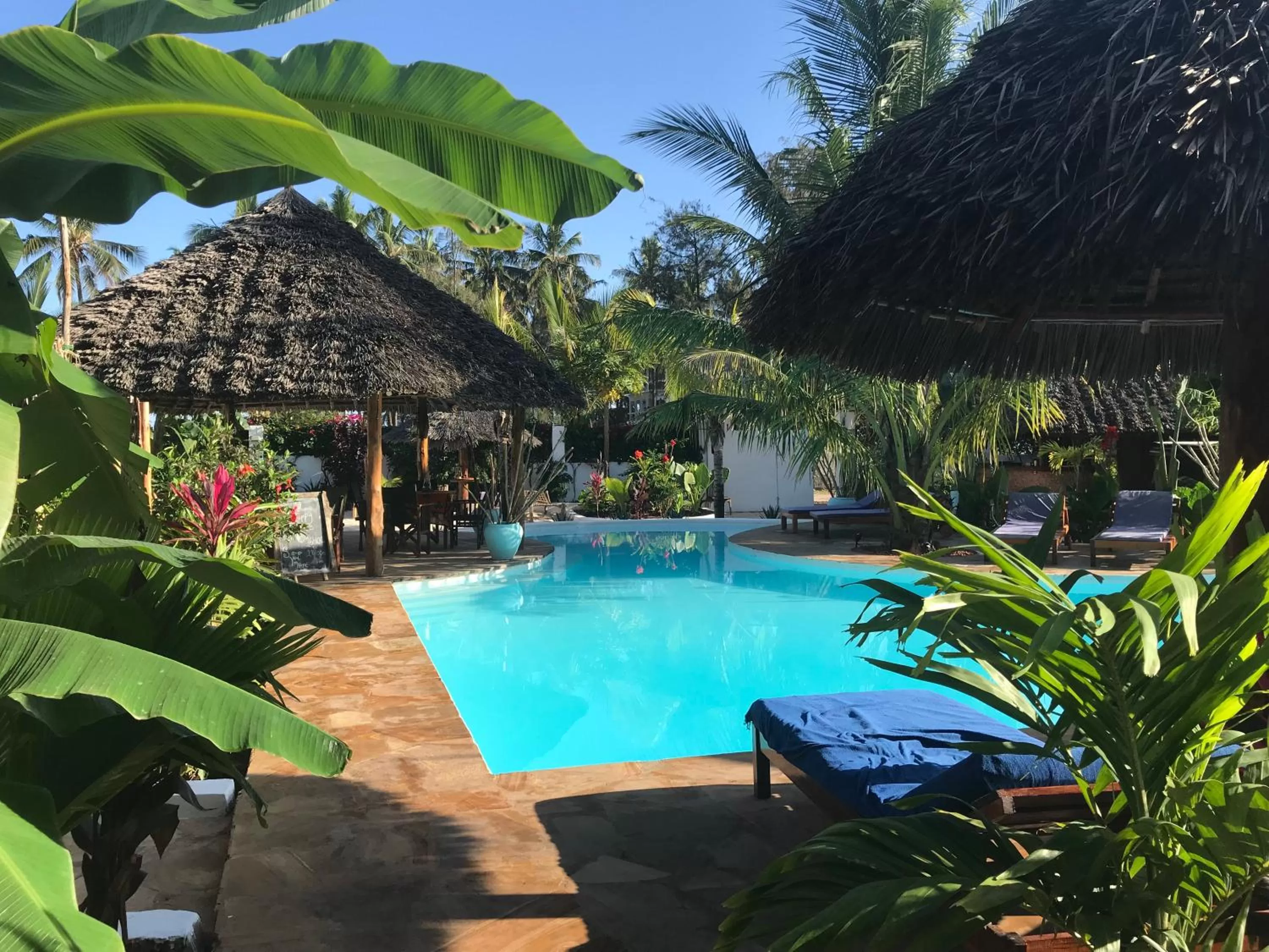 Swimming Pool in Aluna Nungwi