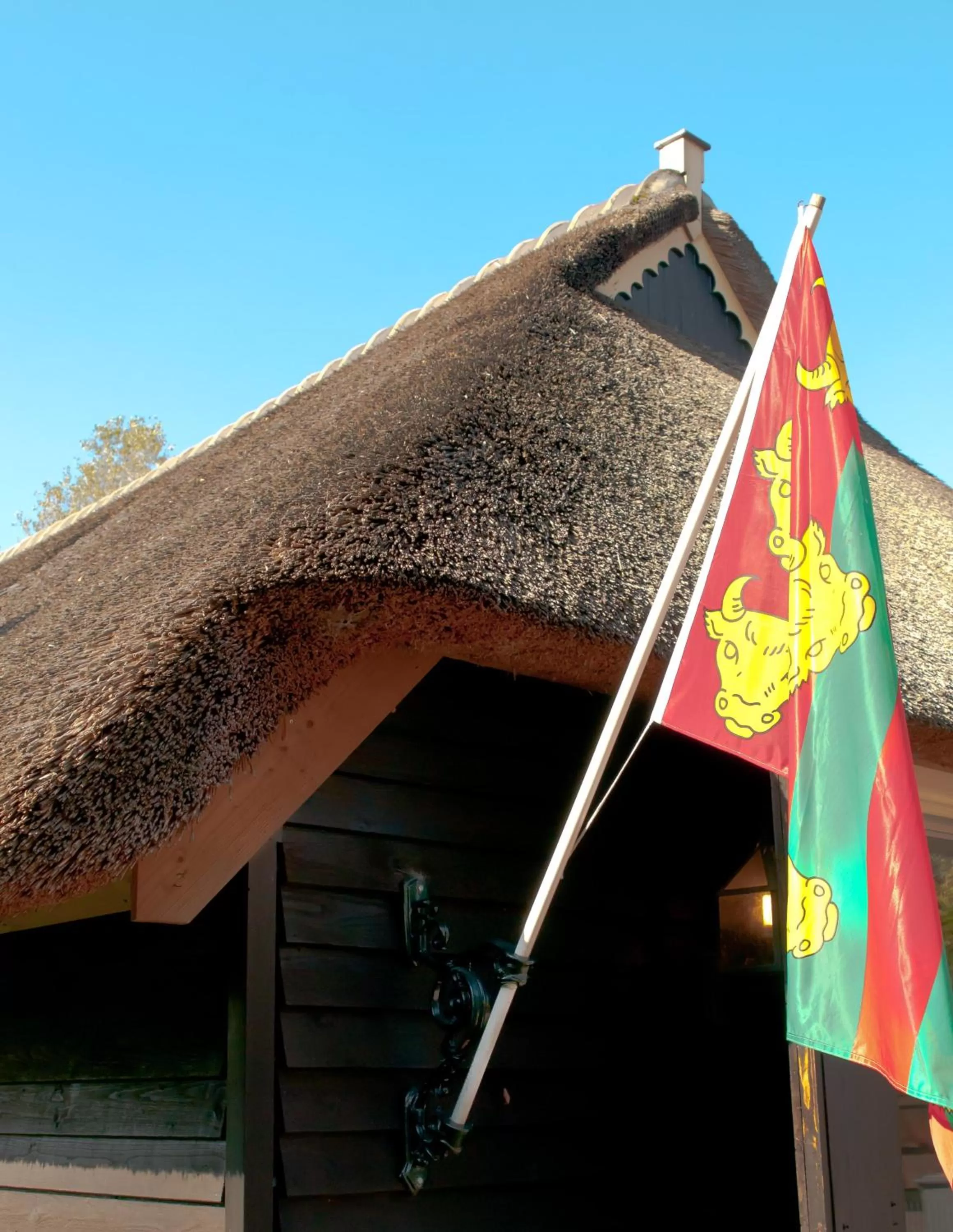 Property building in De Violier