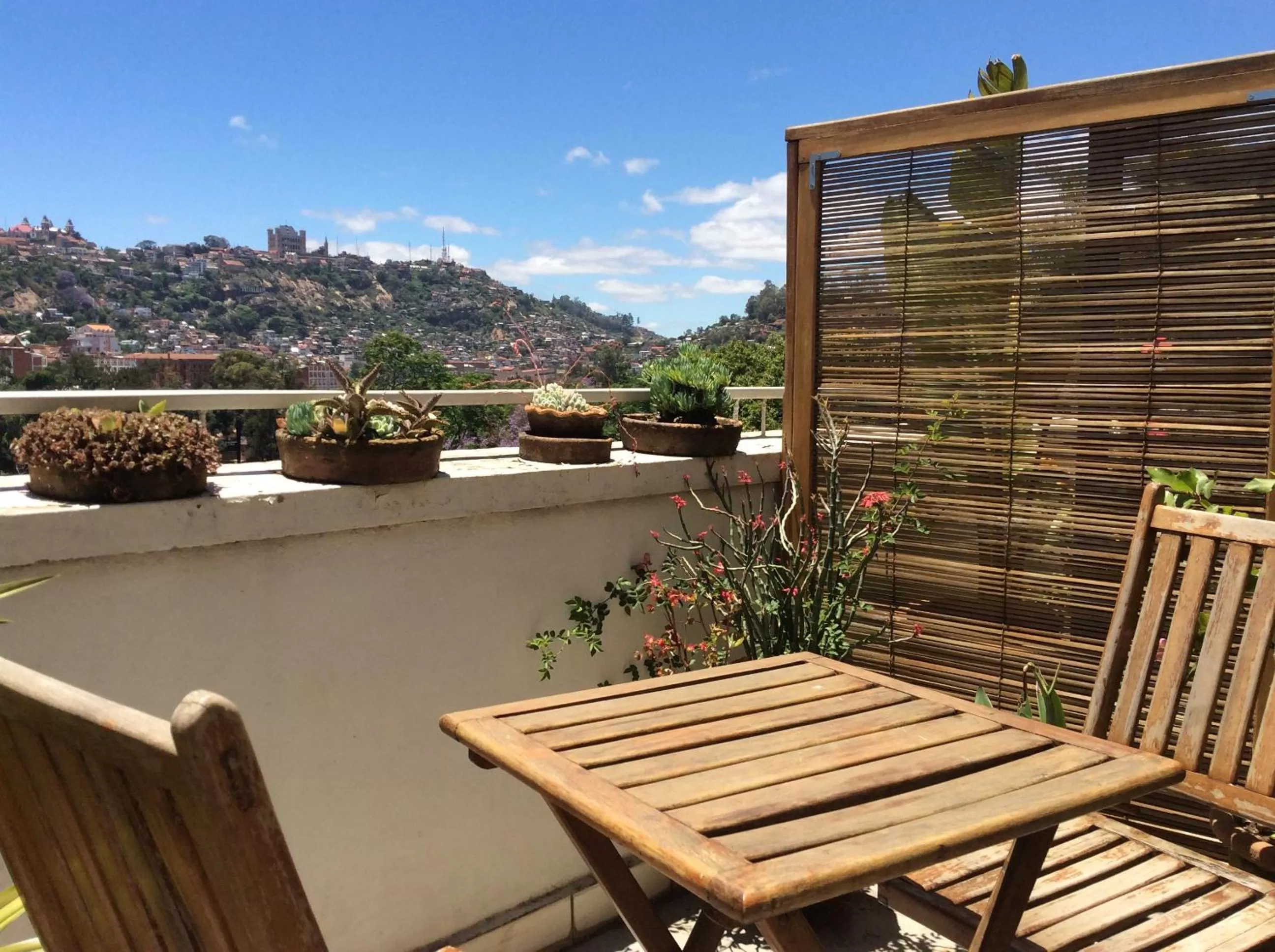 Property building in TANA-JACARANDA