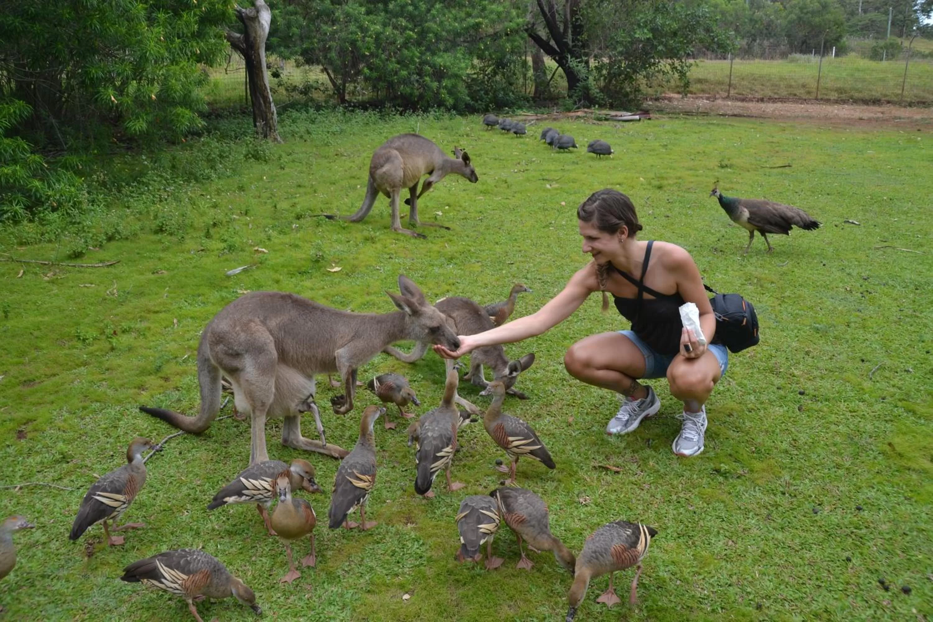 Area and facilities in Coral Inn Boutique Motel
