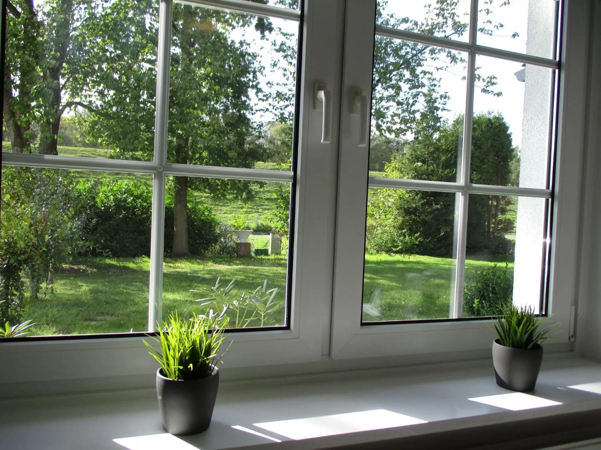 Garden view in Best Pension