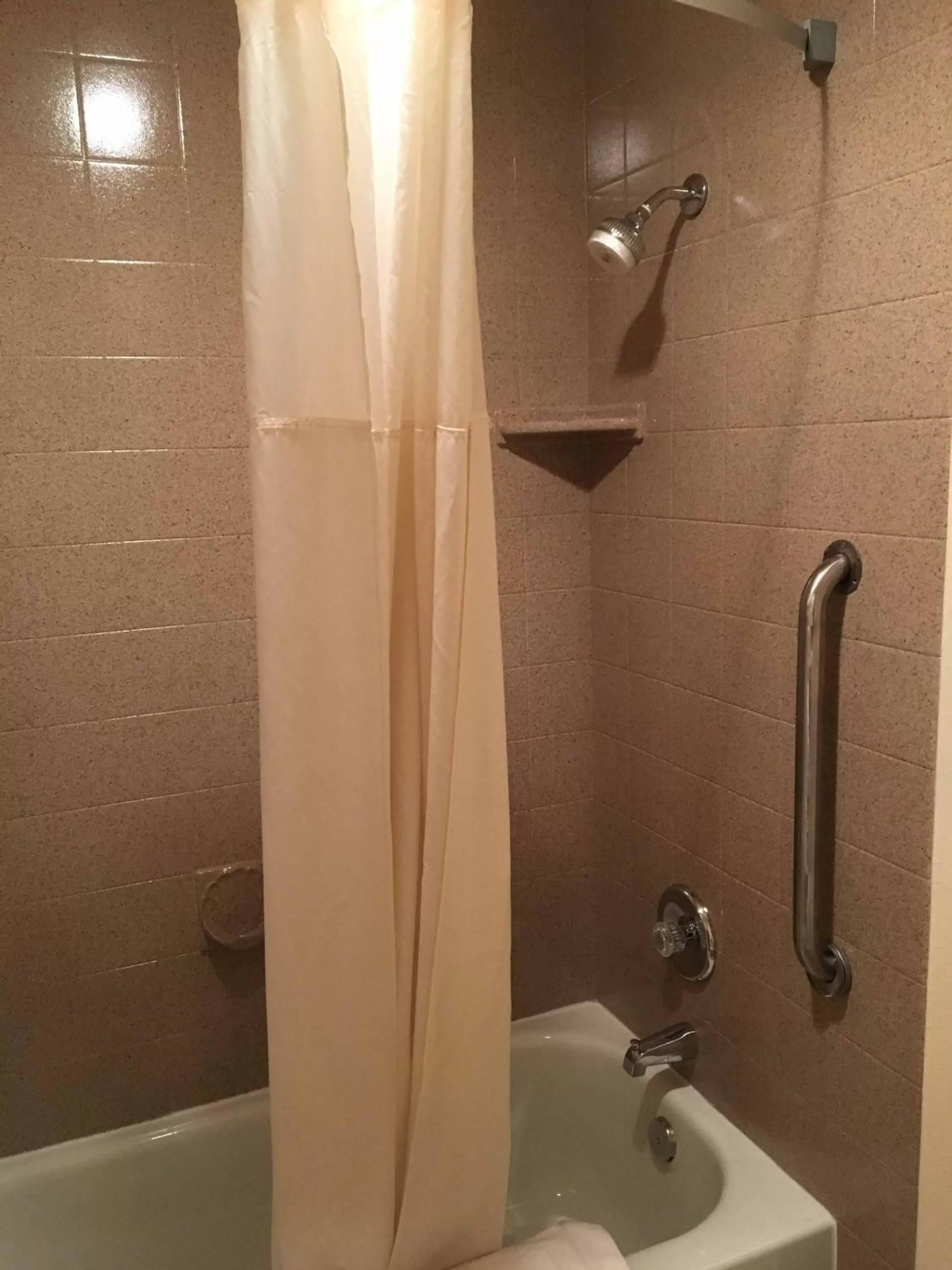 Bathroom in FairBridge Inn & Suites Kellogg