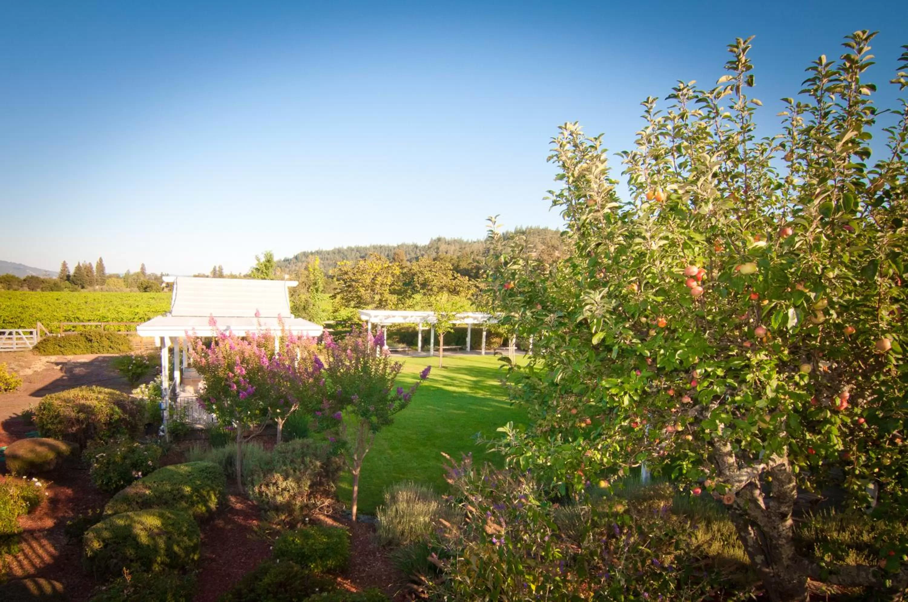 Garden in Geyserville Inn