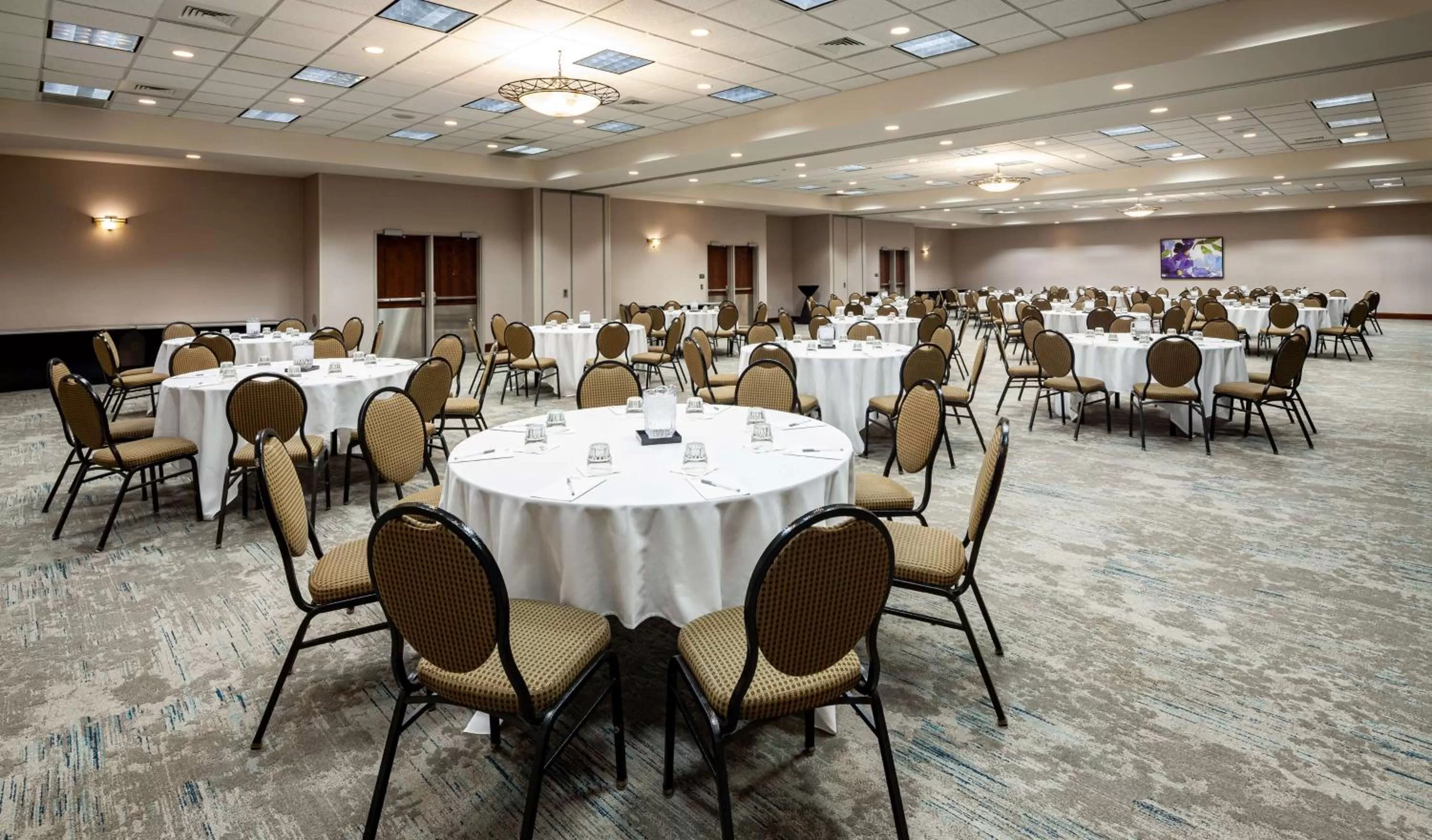 Meeting/conference room in Hilton Garden Inn Chicago O'Hare Airport