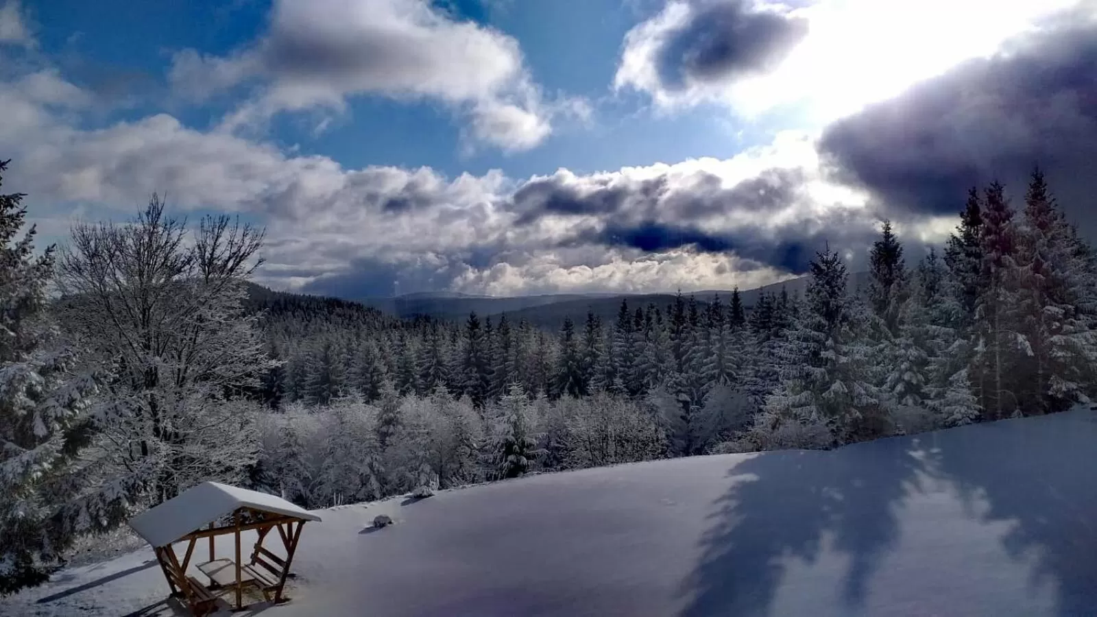 Staff in Hotel Traumblick