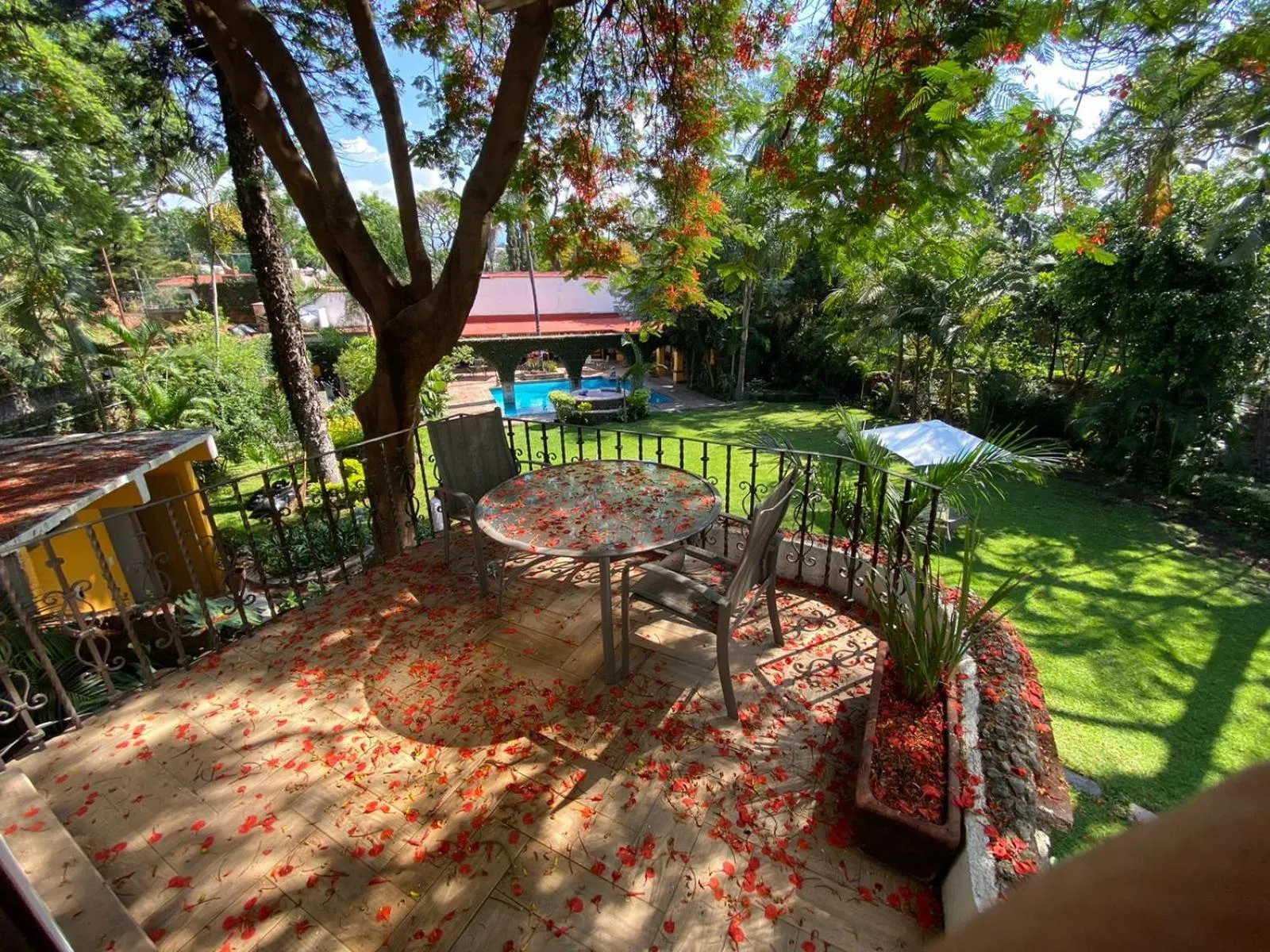 Day in La Joyita Cuernavaca