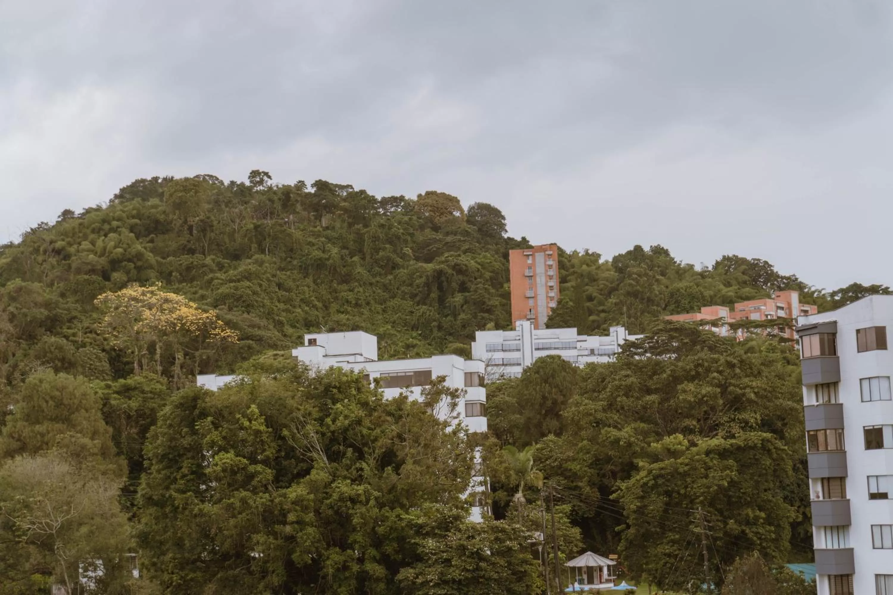 Day in Tuki Hostel & Lounge