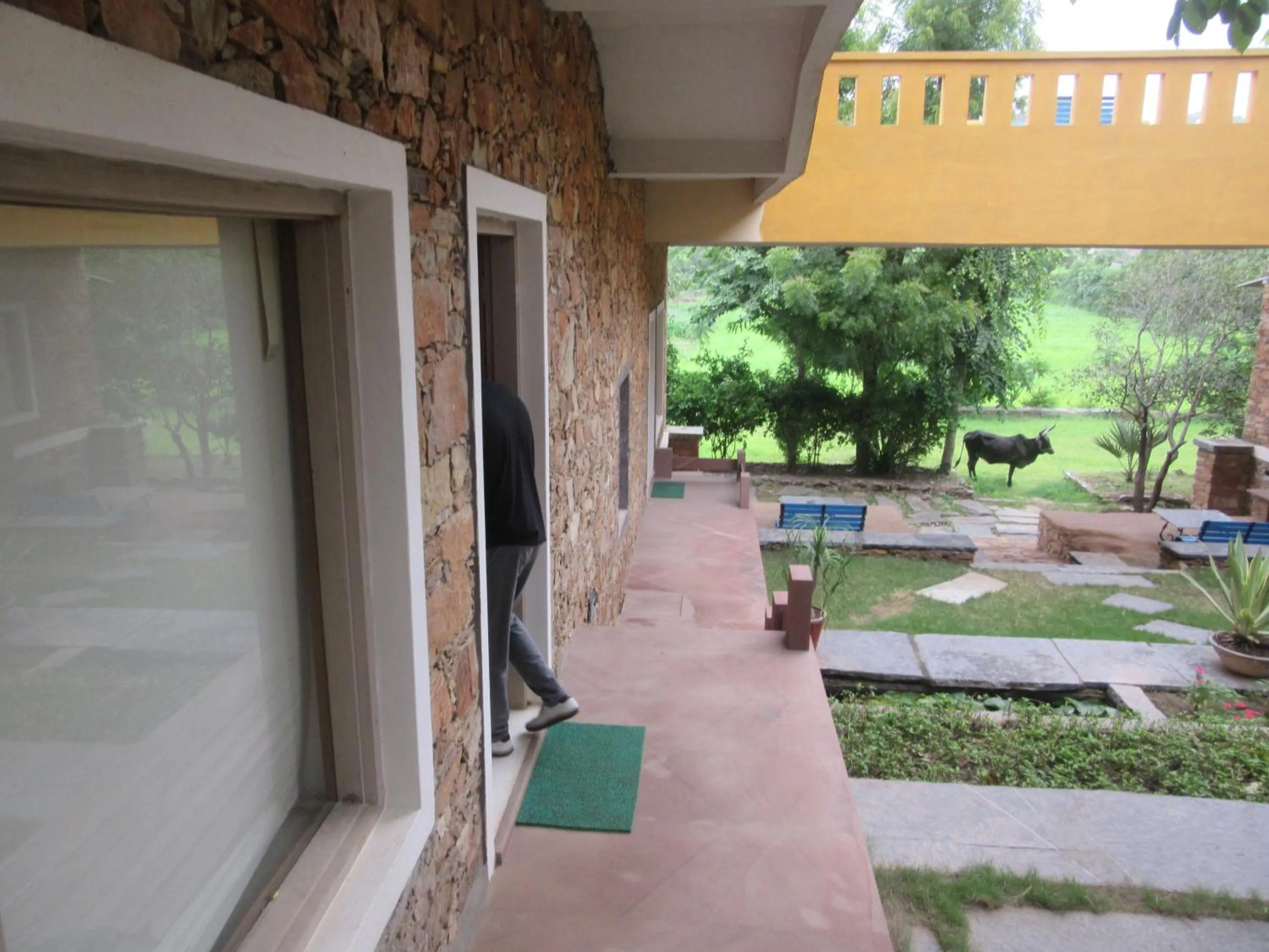 Garden in Devra Udaipur