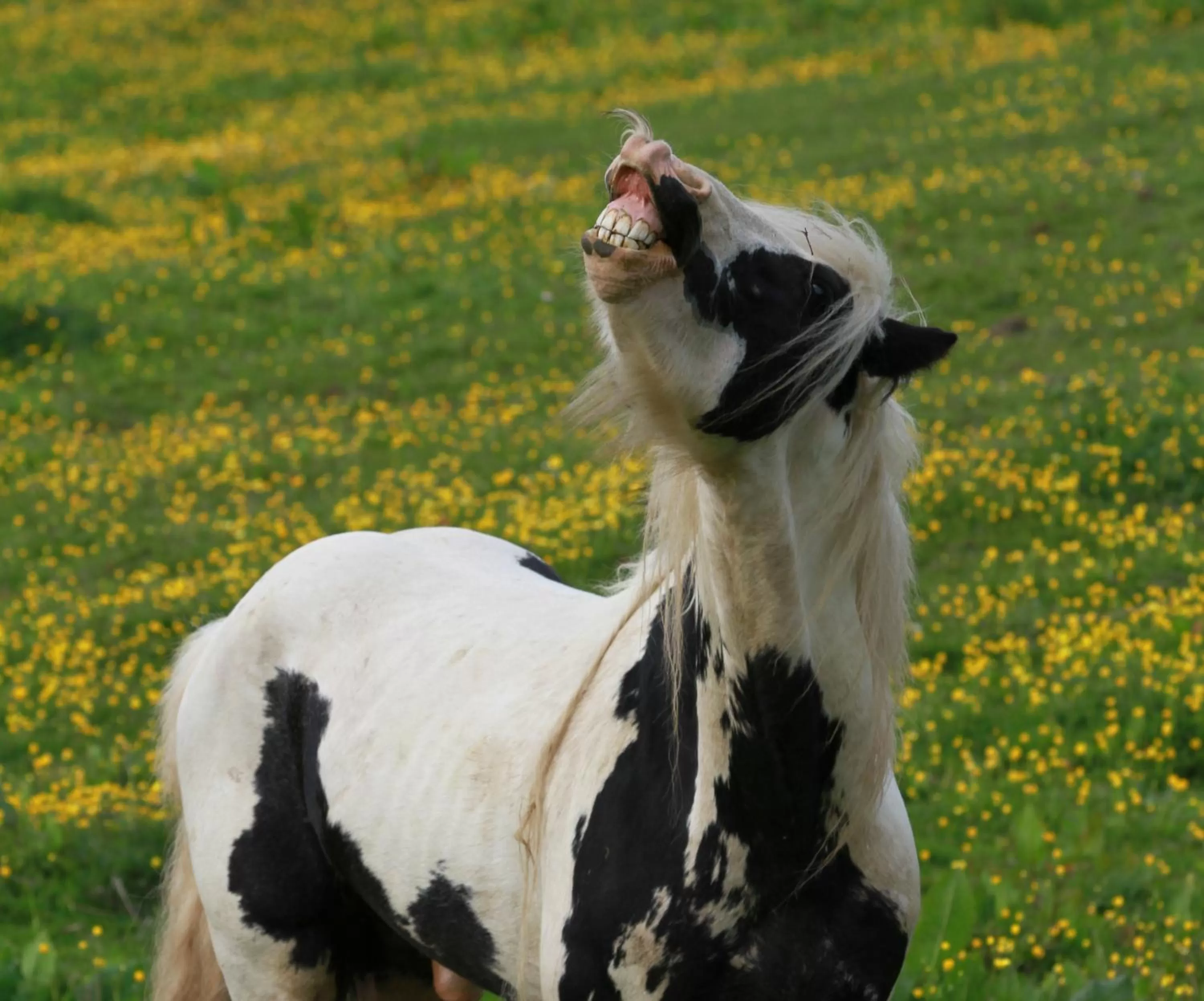 Day in Jacob's Well Hotel