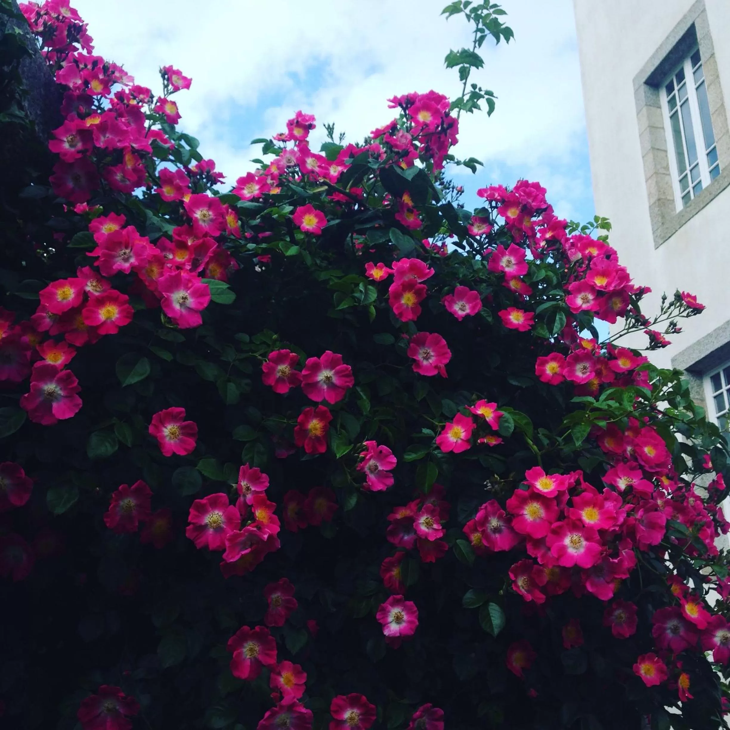 Garden in Maison Castel Braz