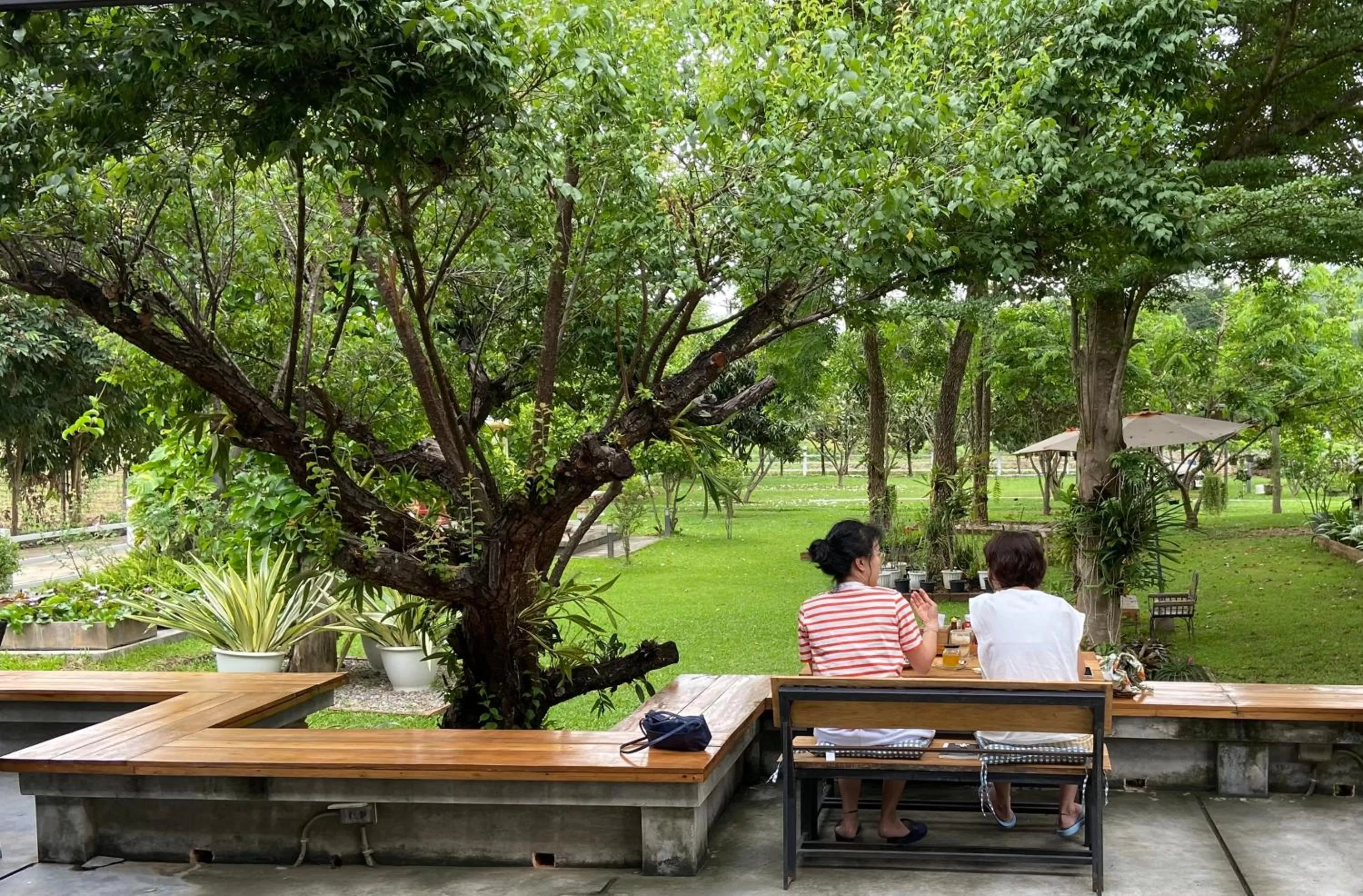 Family House Zen Boutique Resort