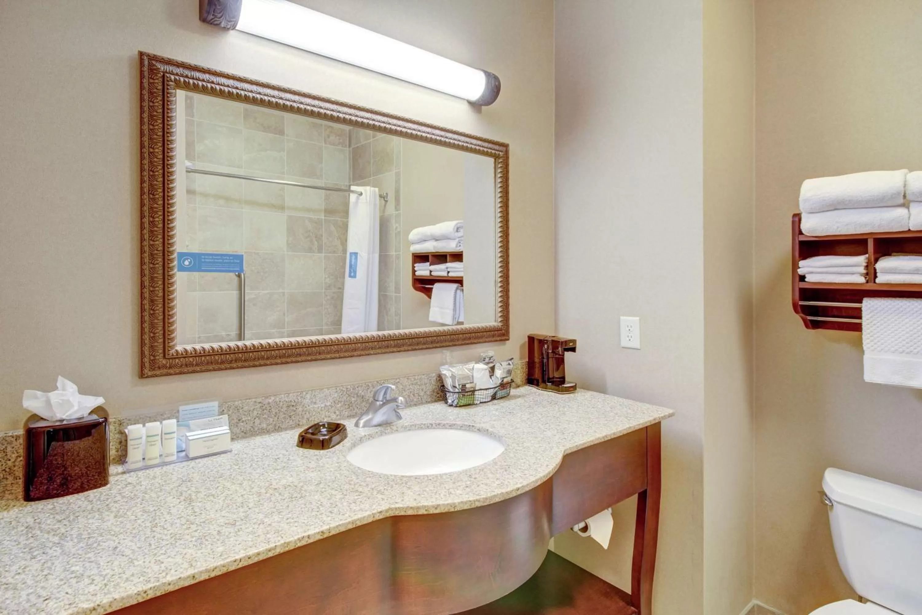 Bathroom in Hampton Inn and Suites Alexandria