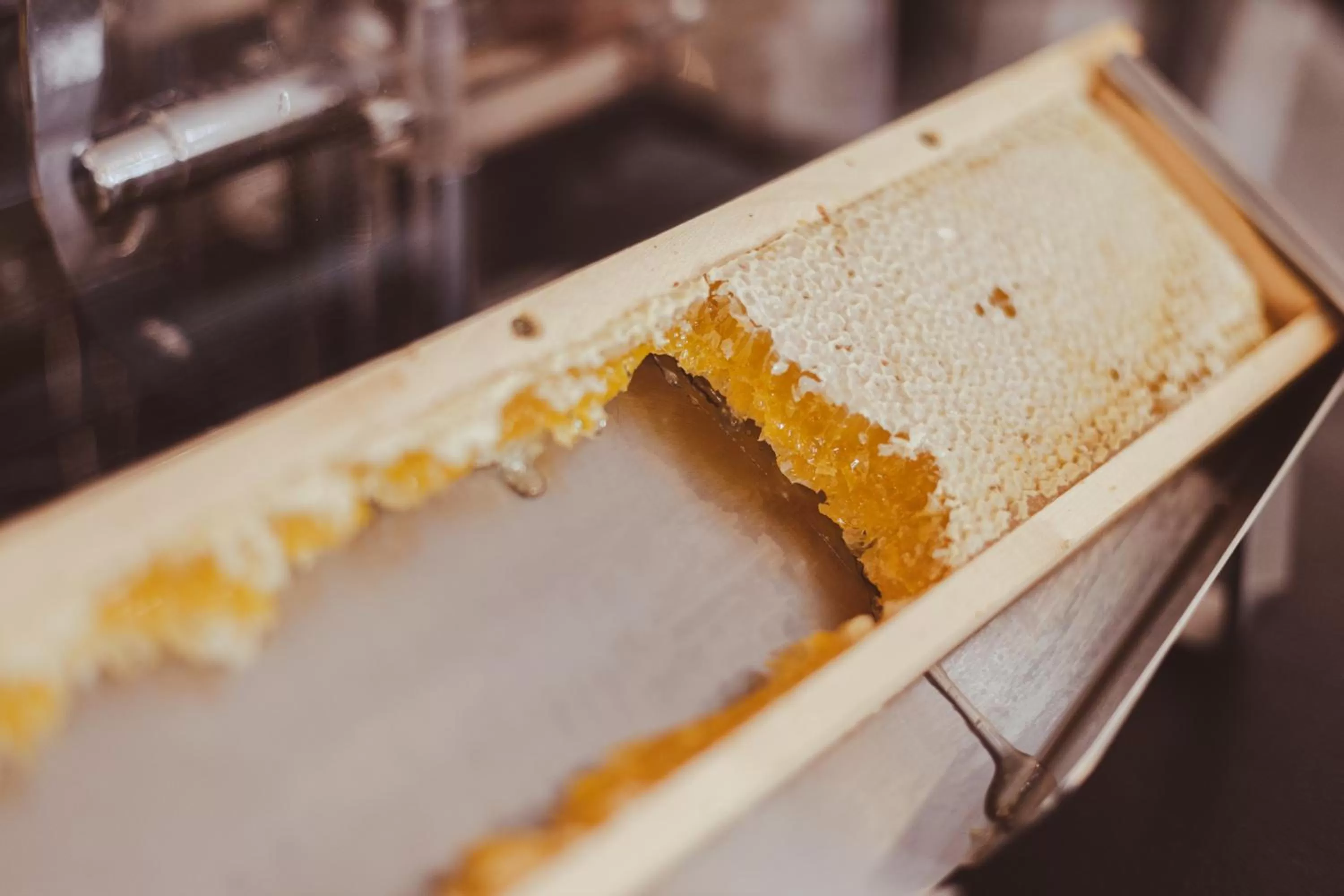 Breakfast in Hotel Lis