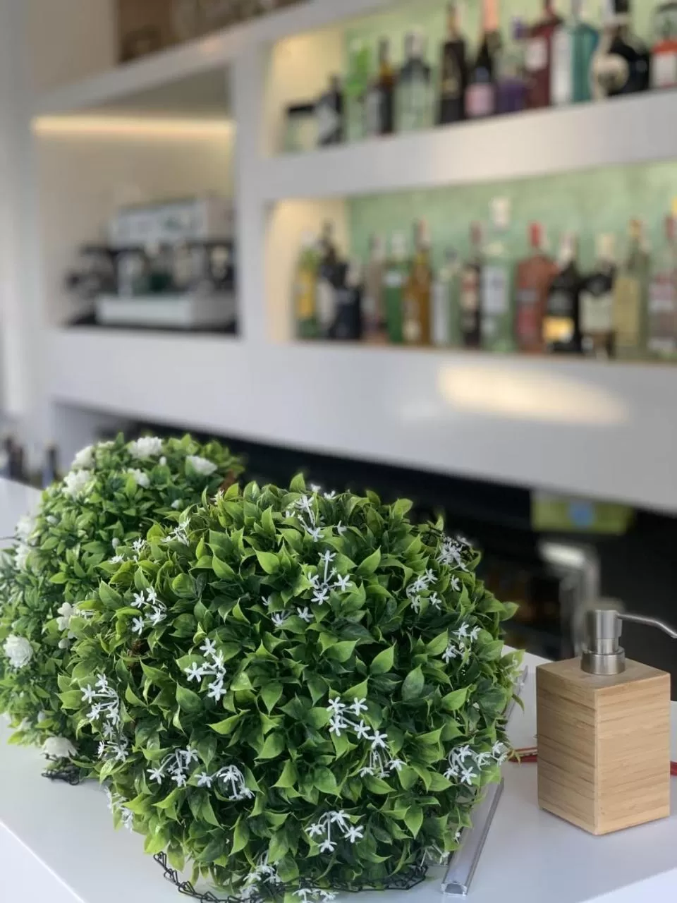 HOTEL apartamentos SEVEN ROOMS