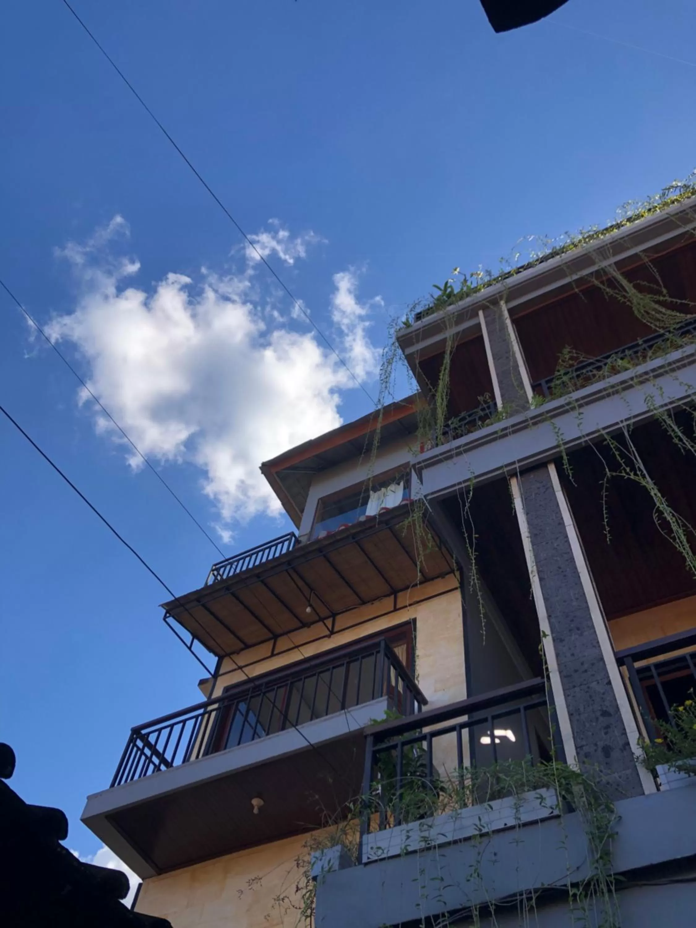 Property building in Run House B&B