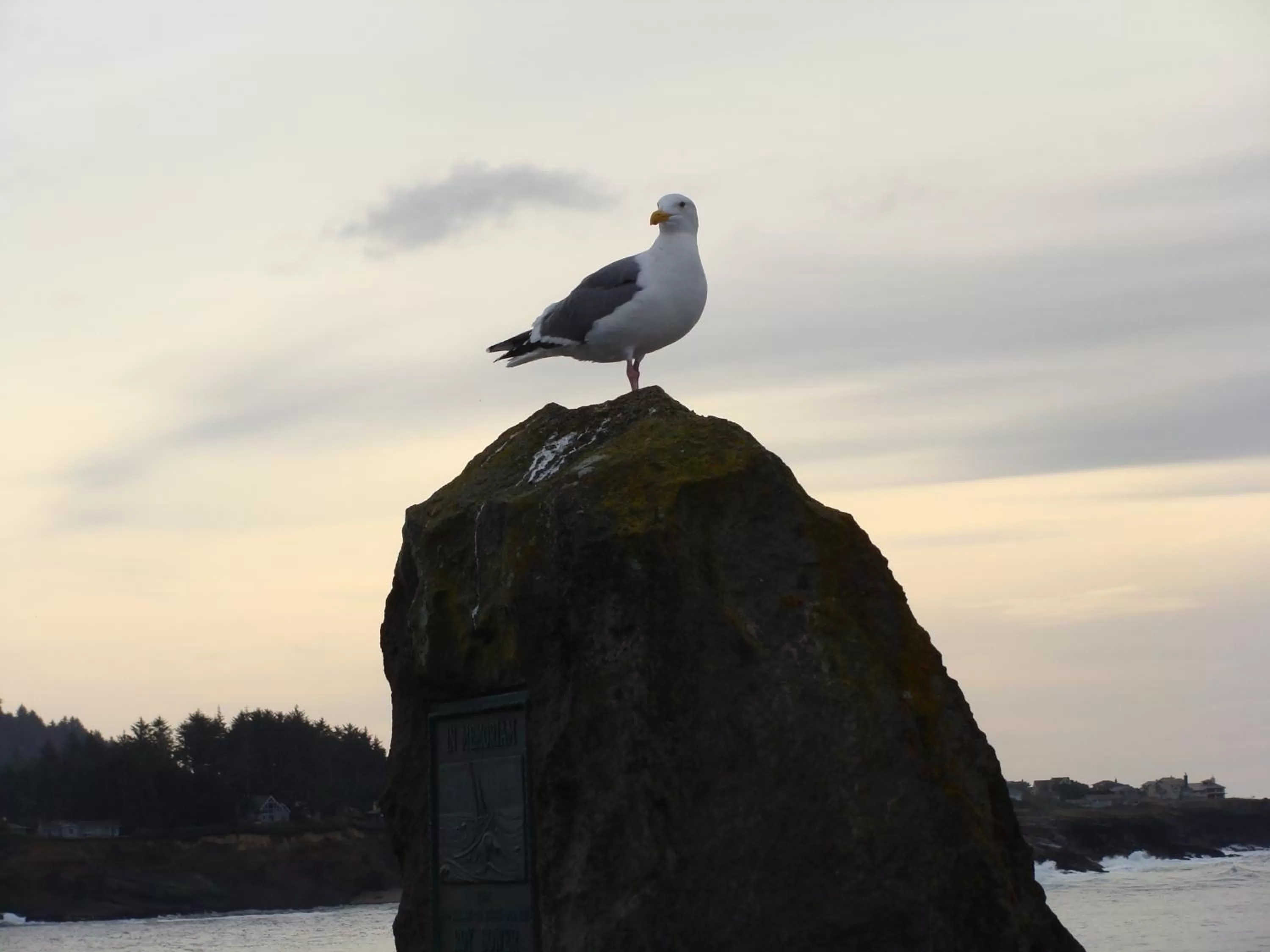 Area and facilities in Money Saver Motel