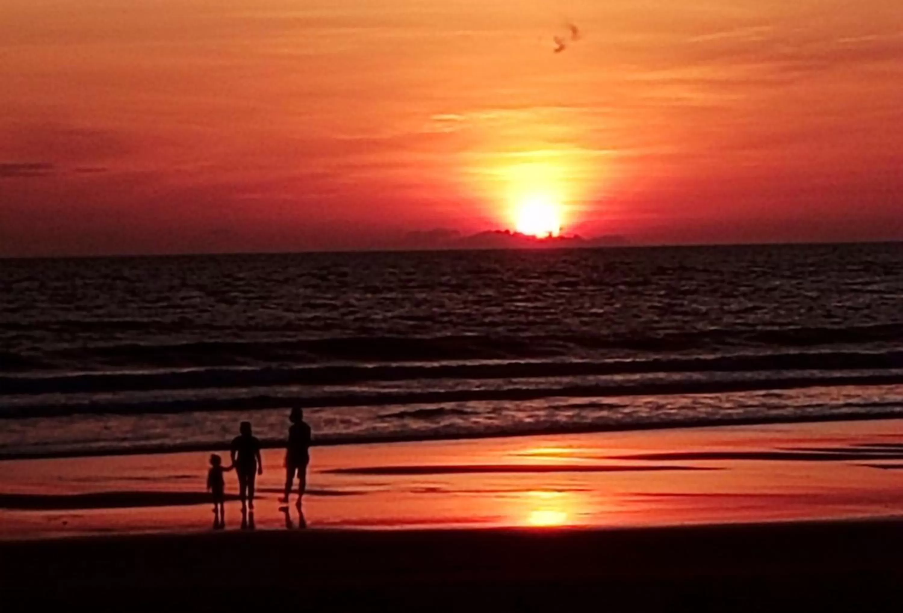 Natural landscape in OmBodhi Retreat