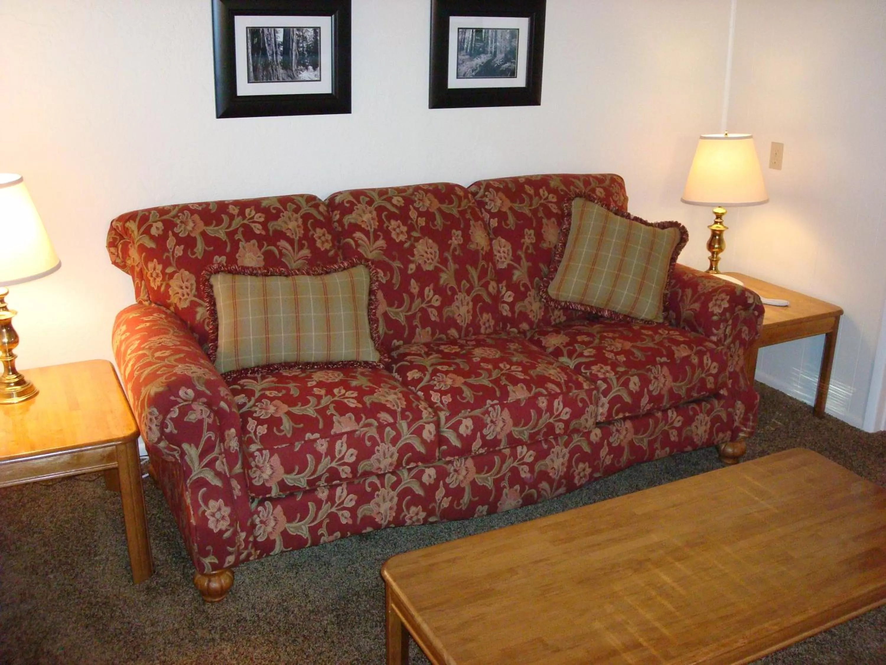 Living room in Redwood Suites