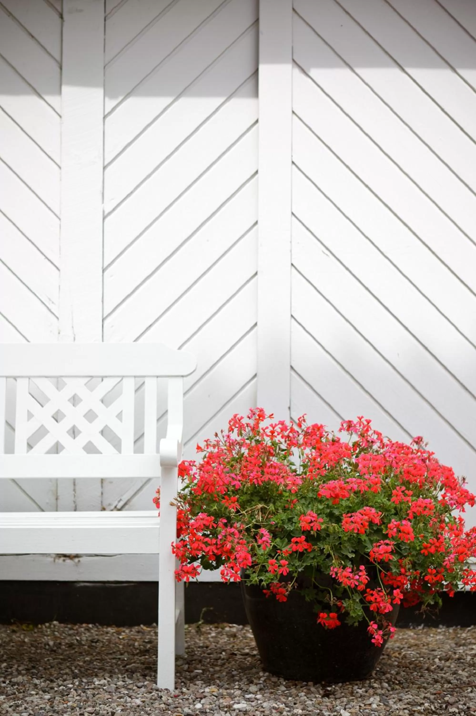 Natural landscape in Hotel Kirstine