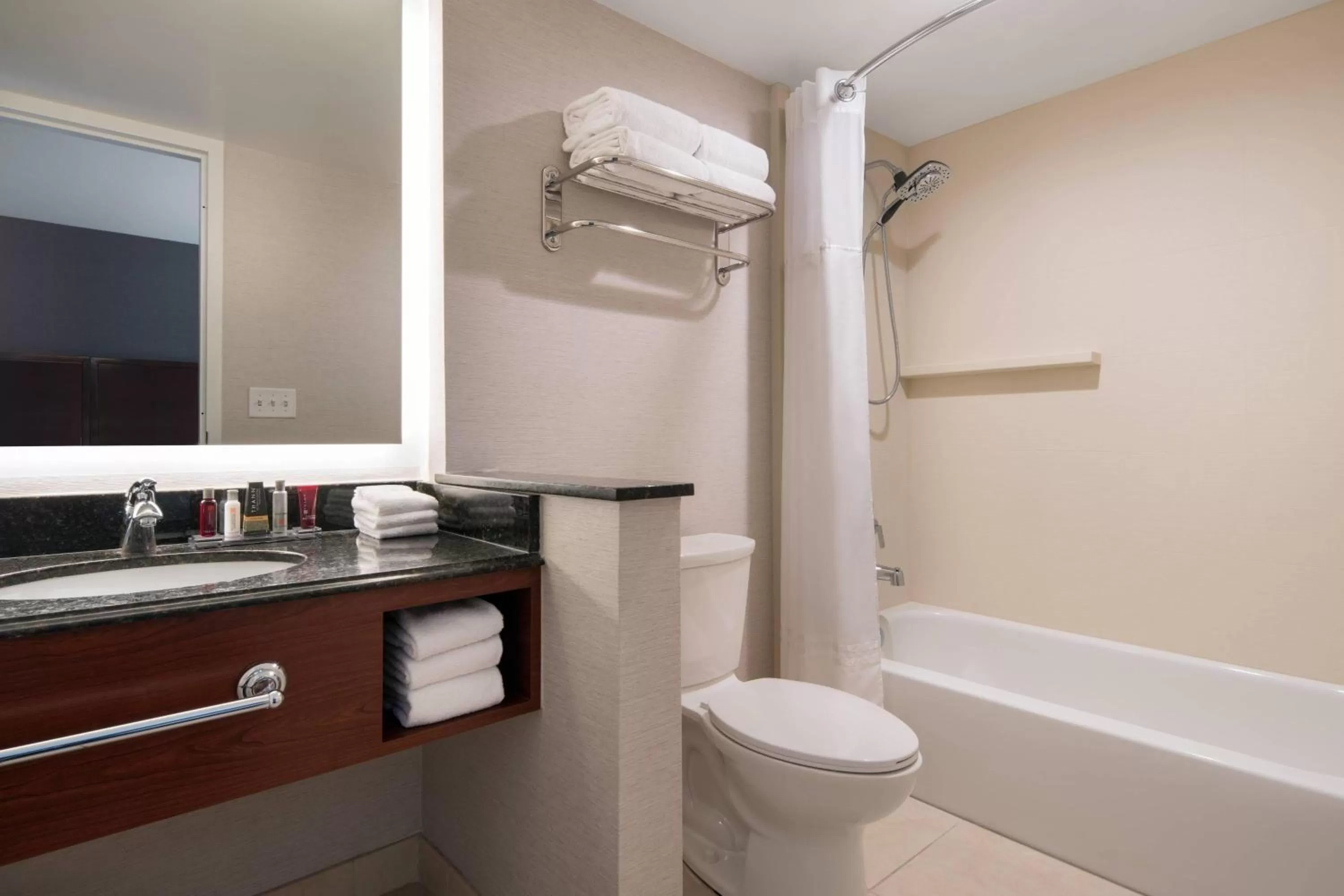 Bathroom in Provo Marriott Hotel & Conference Center