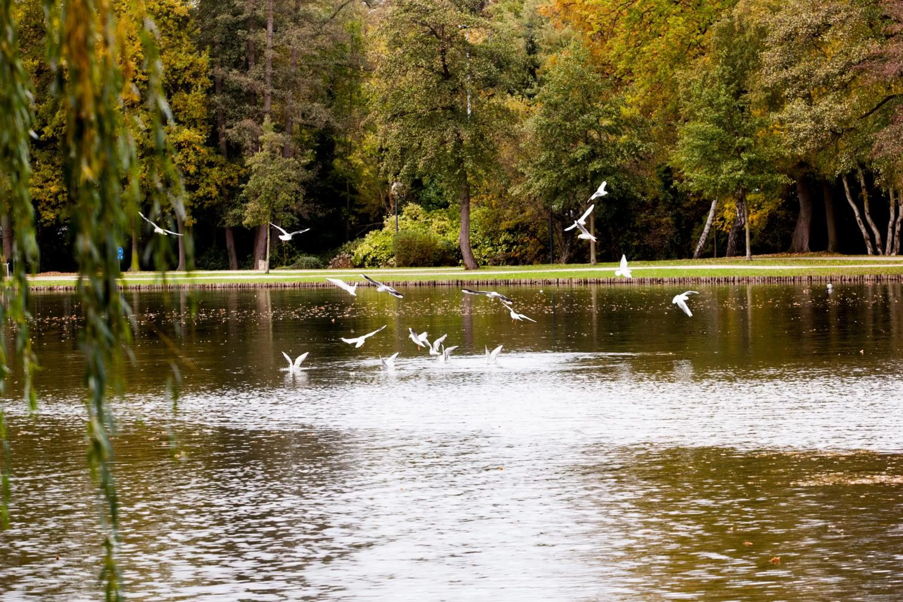 Natural landscape in M Hotel