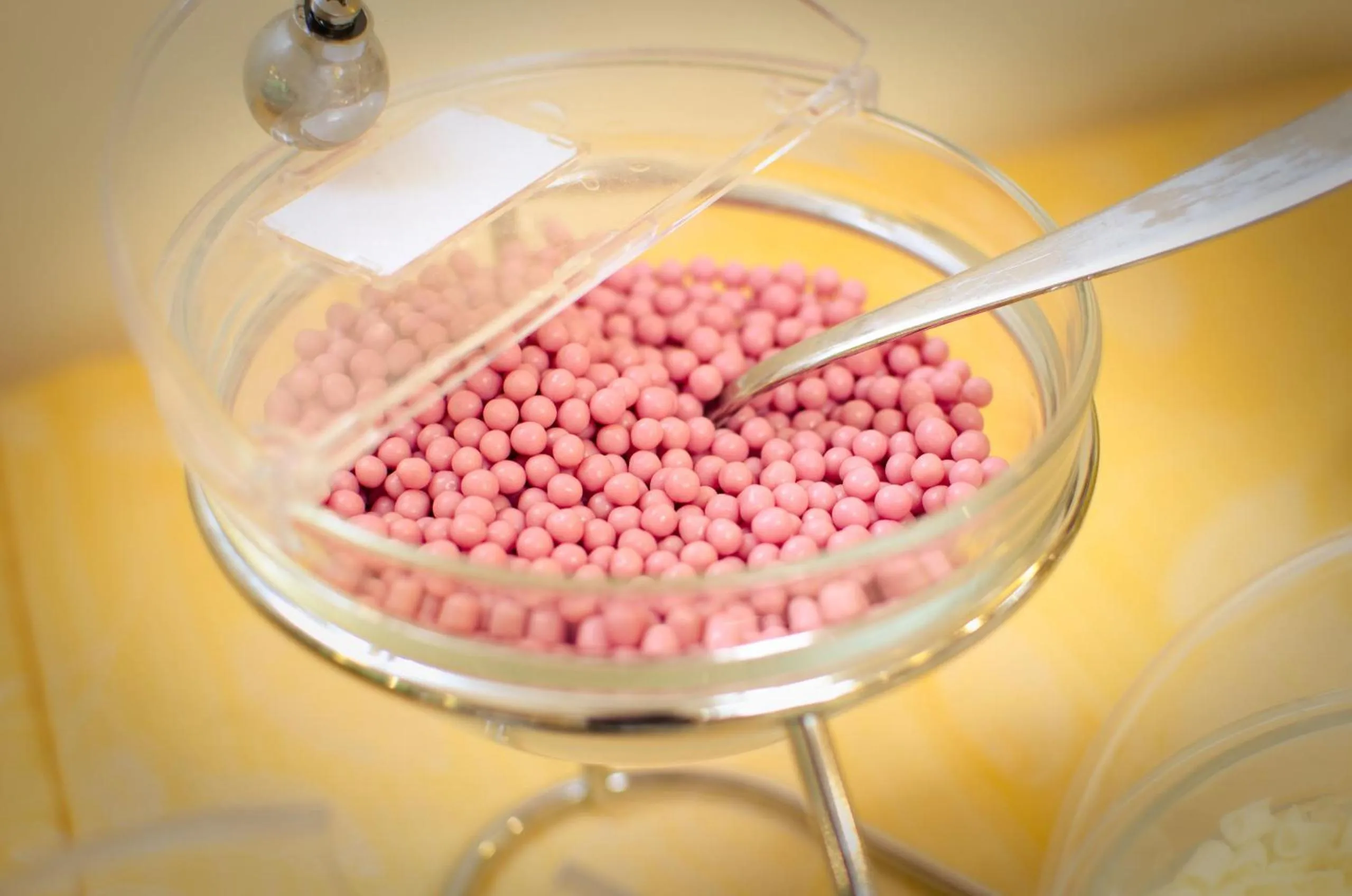 Food close-up in Hotel Federico II