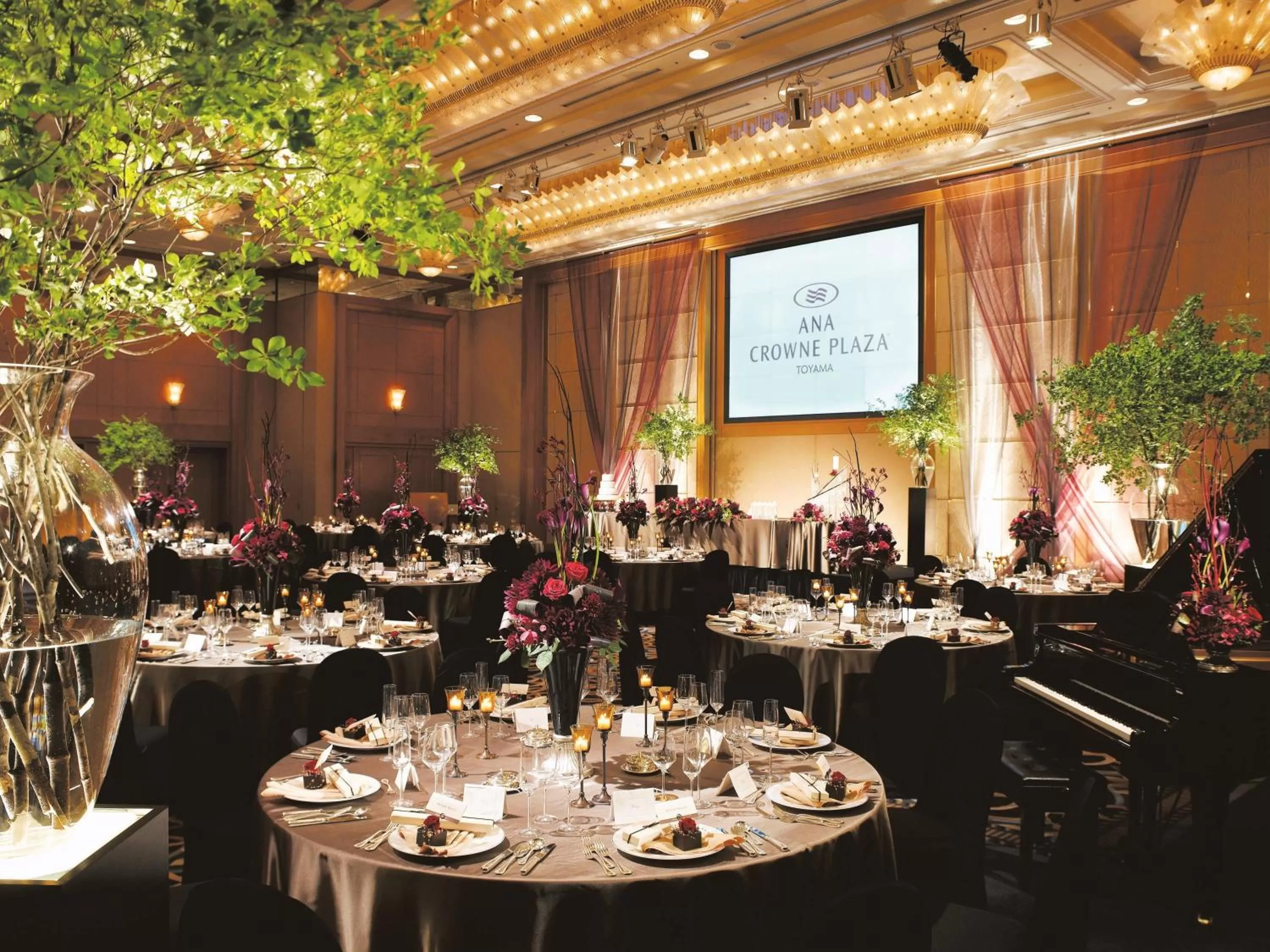 Banquet/Function facilities in ANA Crowne Plaza Toyama by IHG