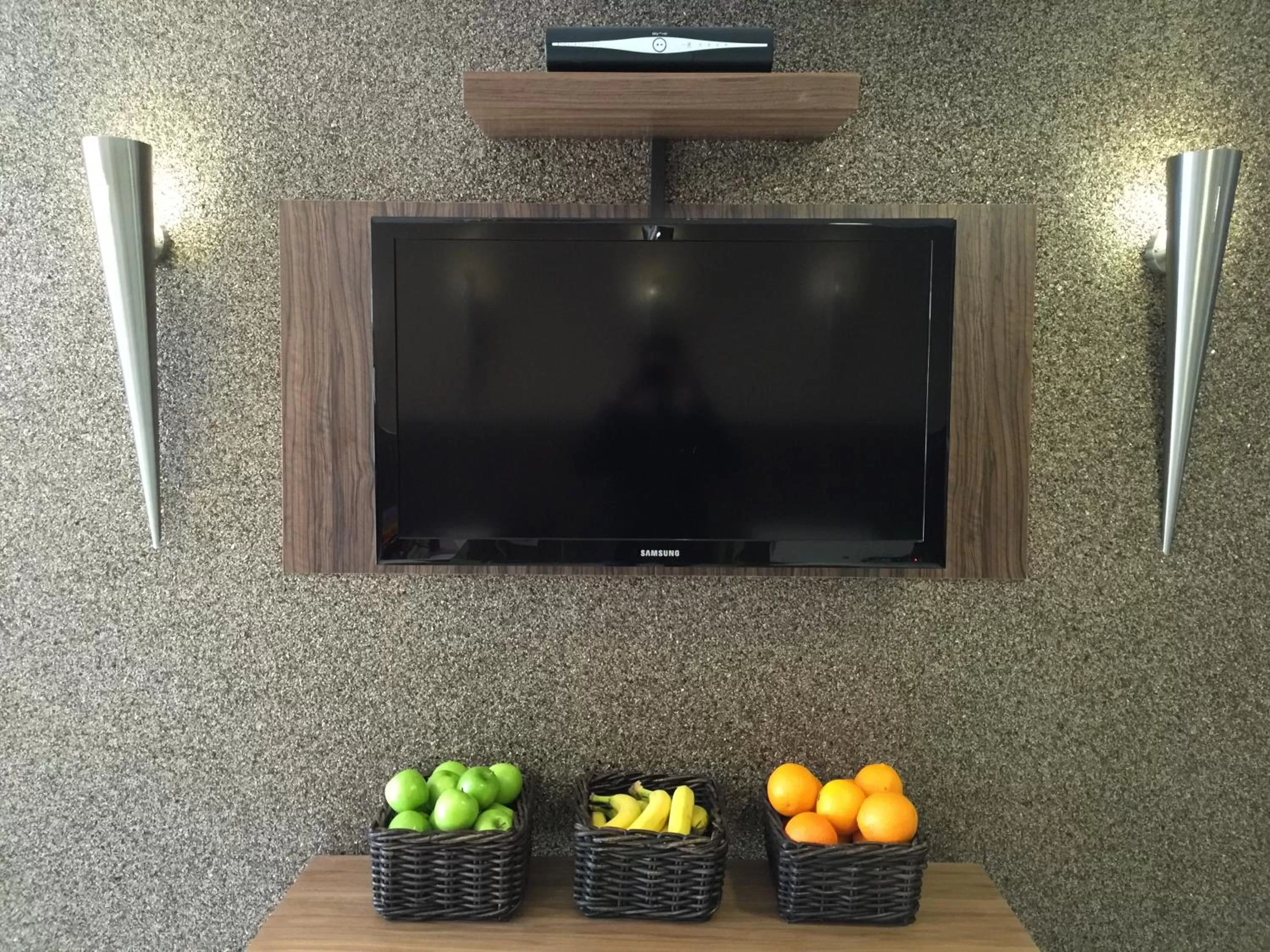 TV and multimedia in Prince Regent Hotel Excel London