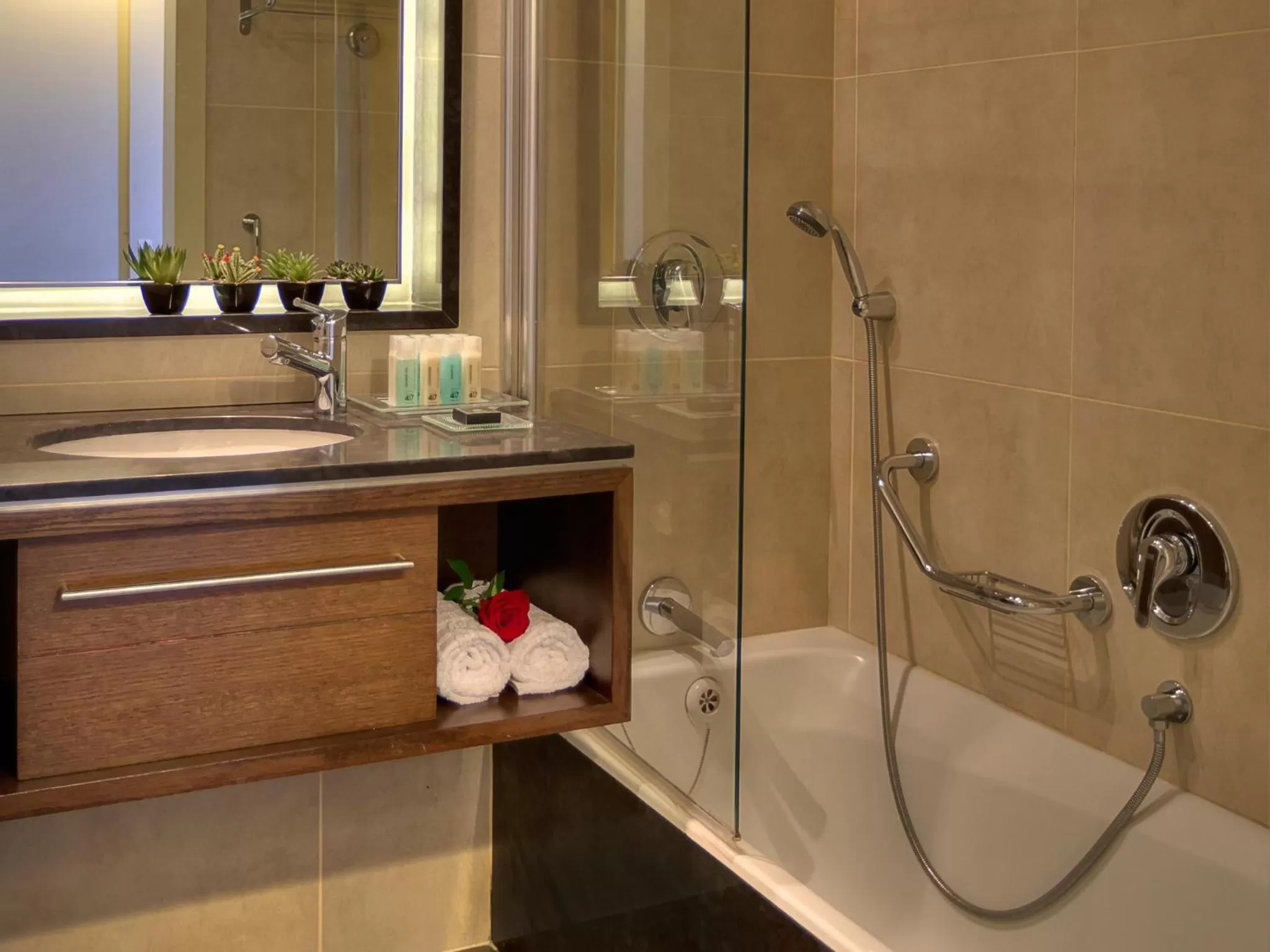 Bathroom in Dan Panorama Haifa Hotel