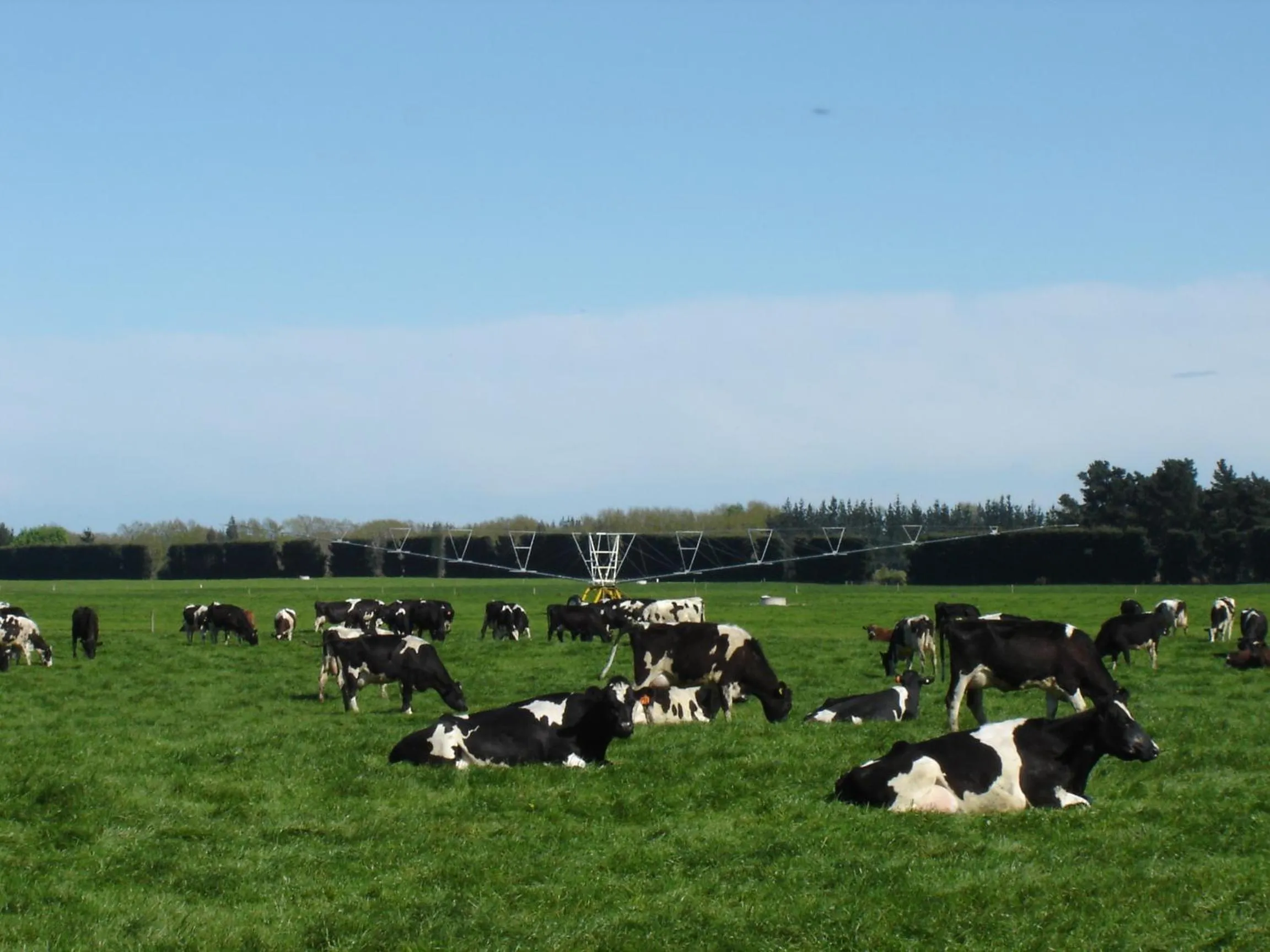 Animals in Abisko Lodge