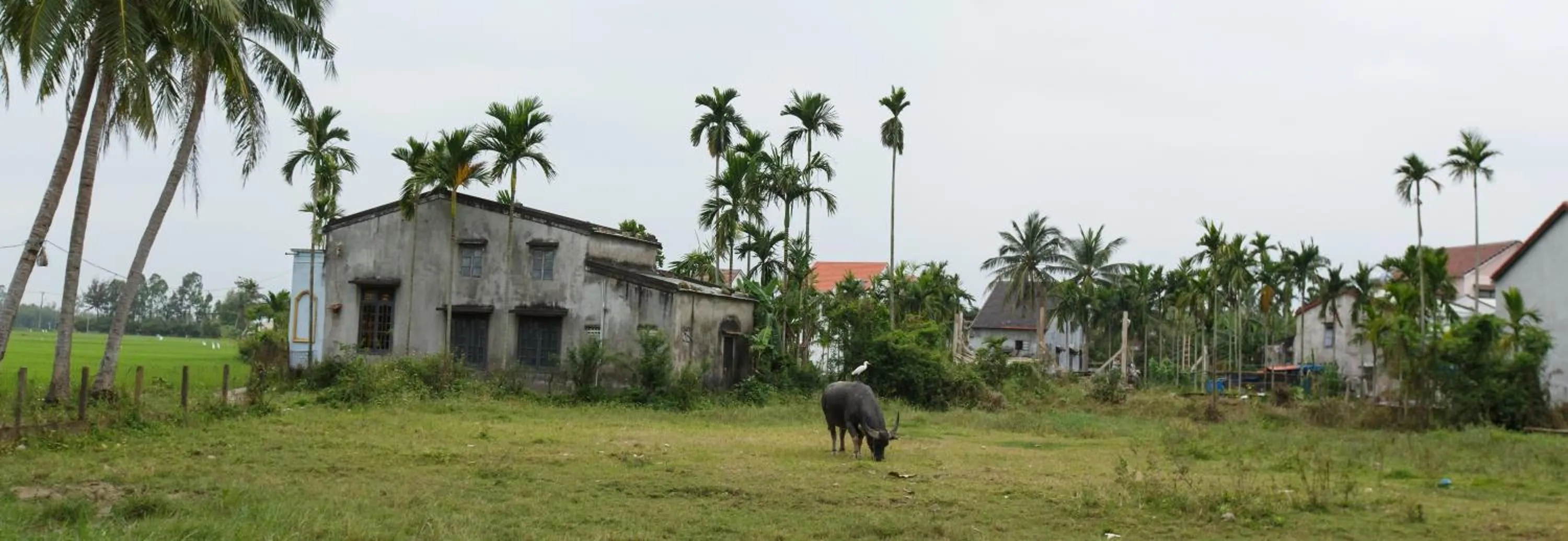 Natural landscape in Lama Villa Hoi An