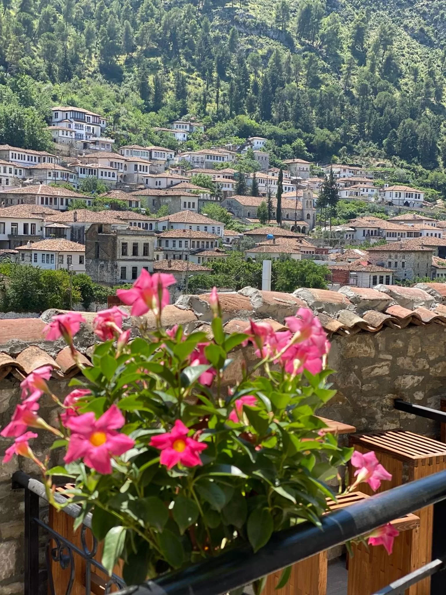 Spring in HOTEL ANSEL