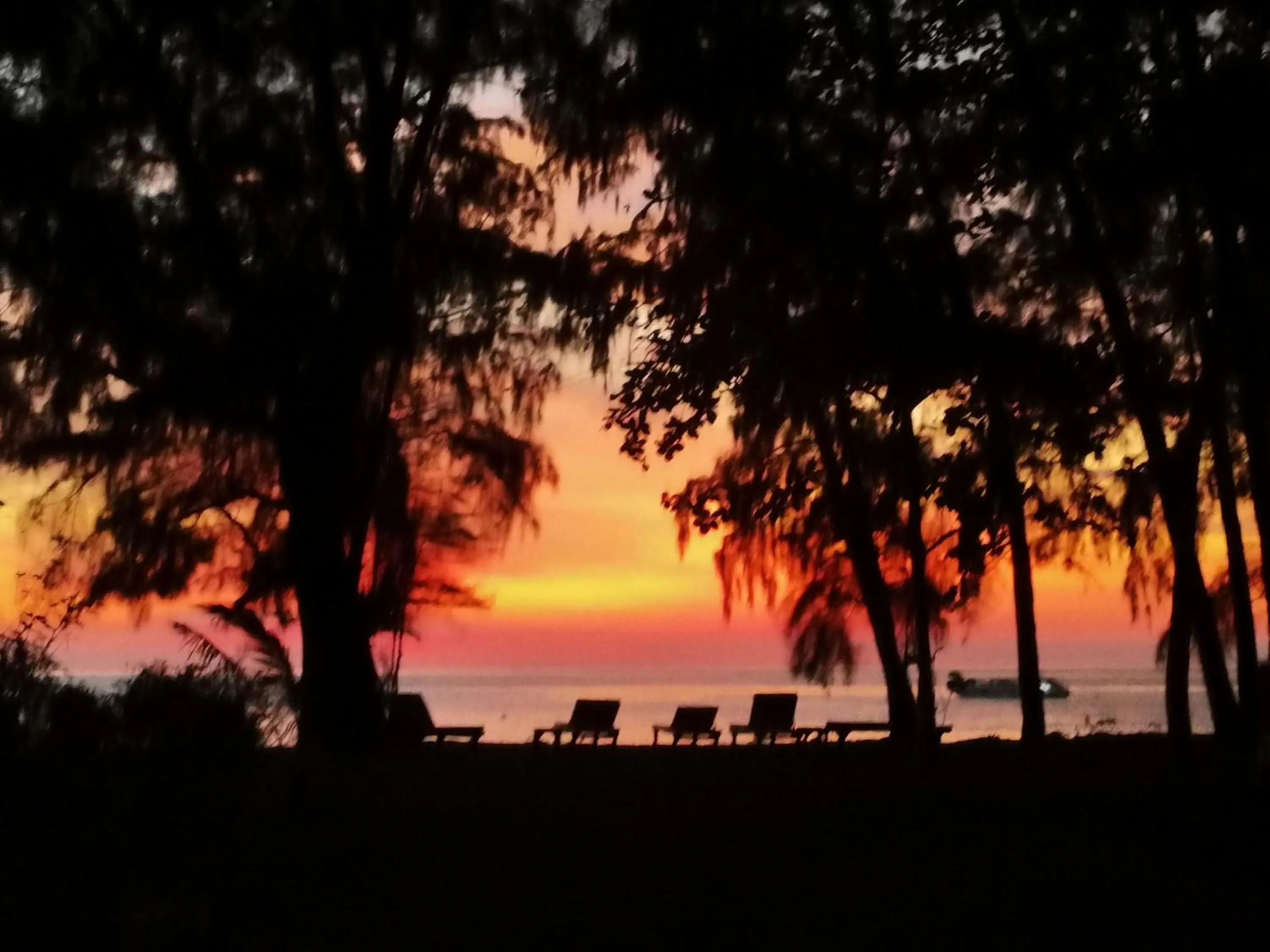 Natural landscape in Eco Lanta Hideaway Beach Resort