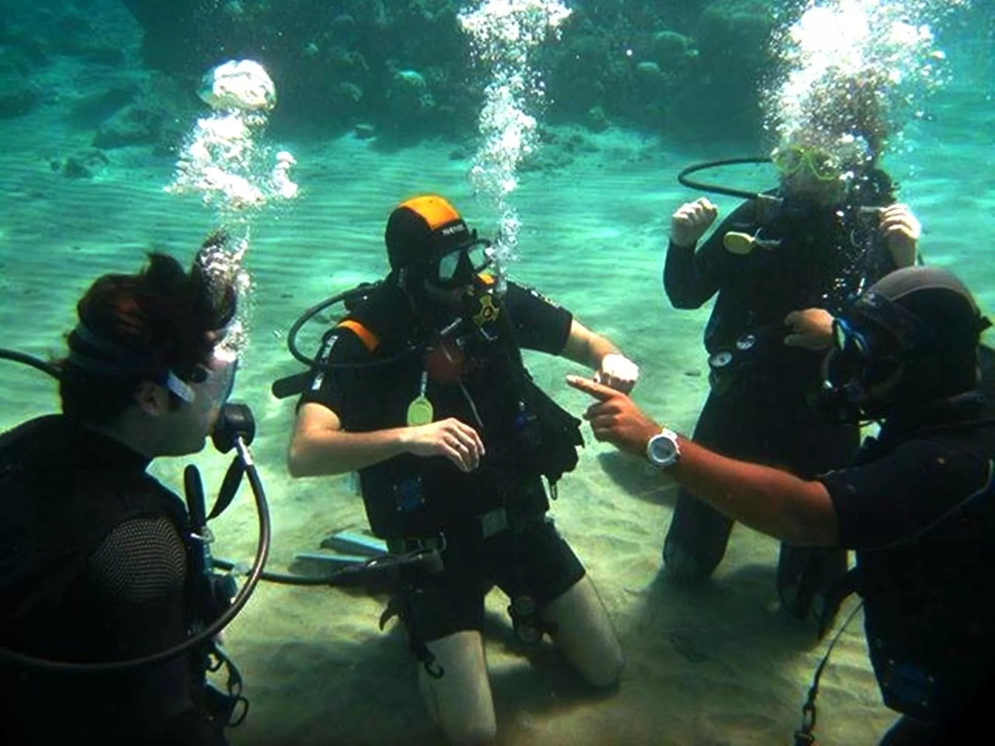 Diving in Arab Divers Dive Center and Bed & Breakfast