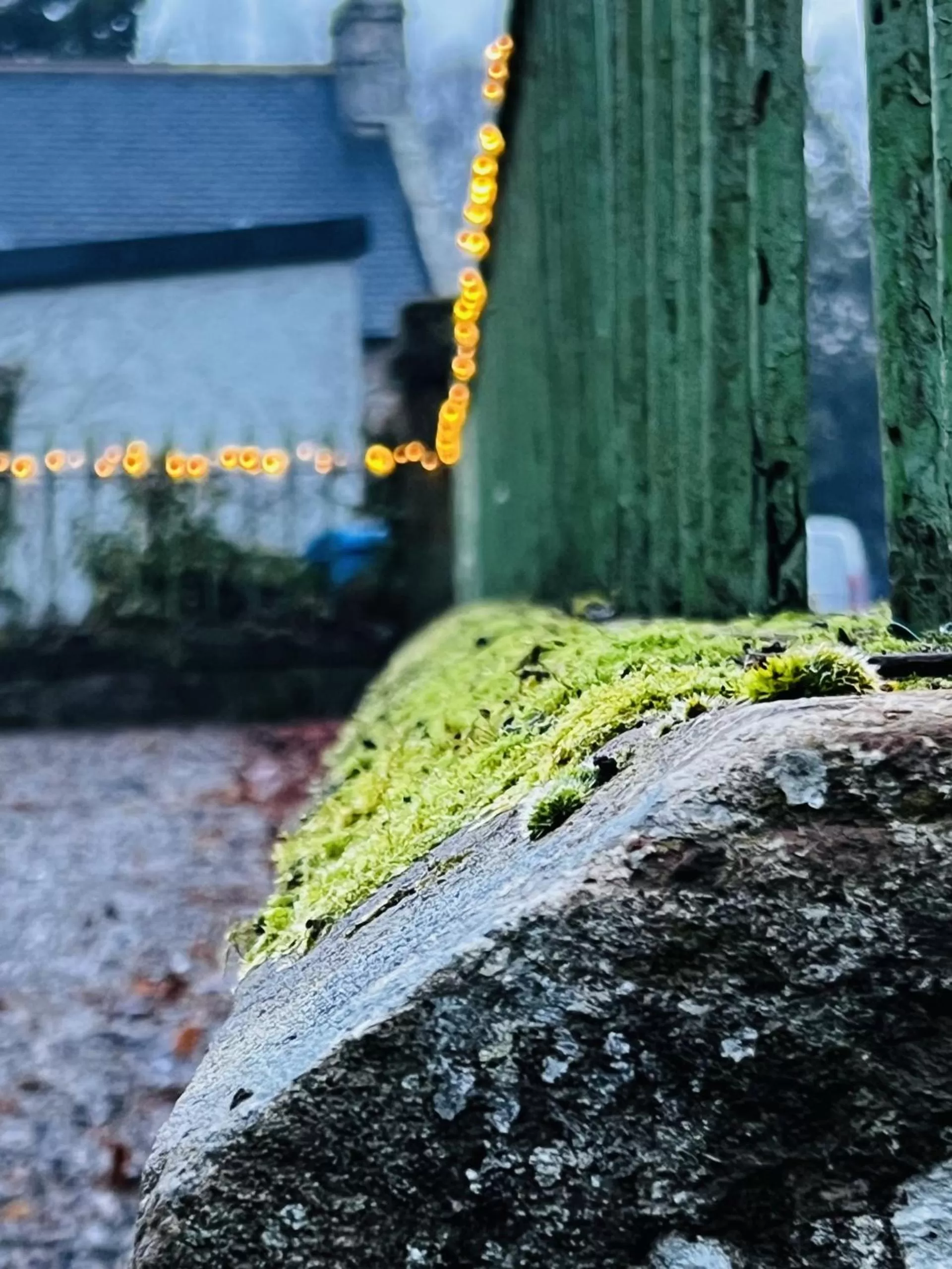 Property building in St Duthus Villa Guesthouse