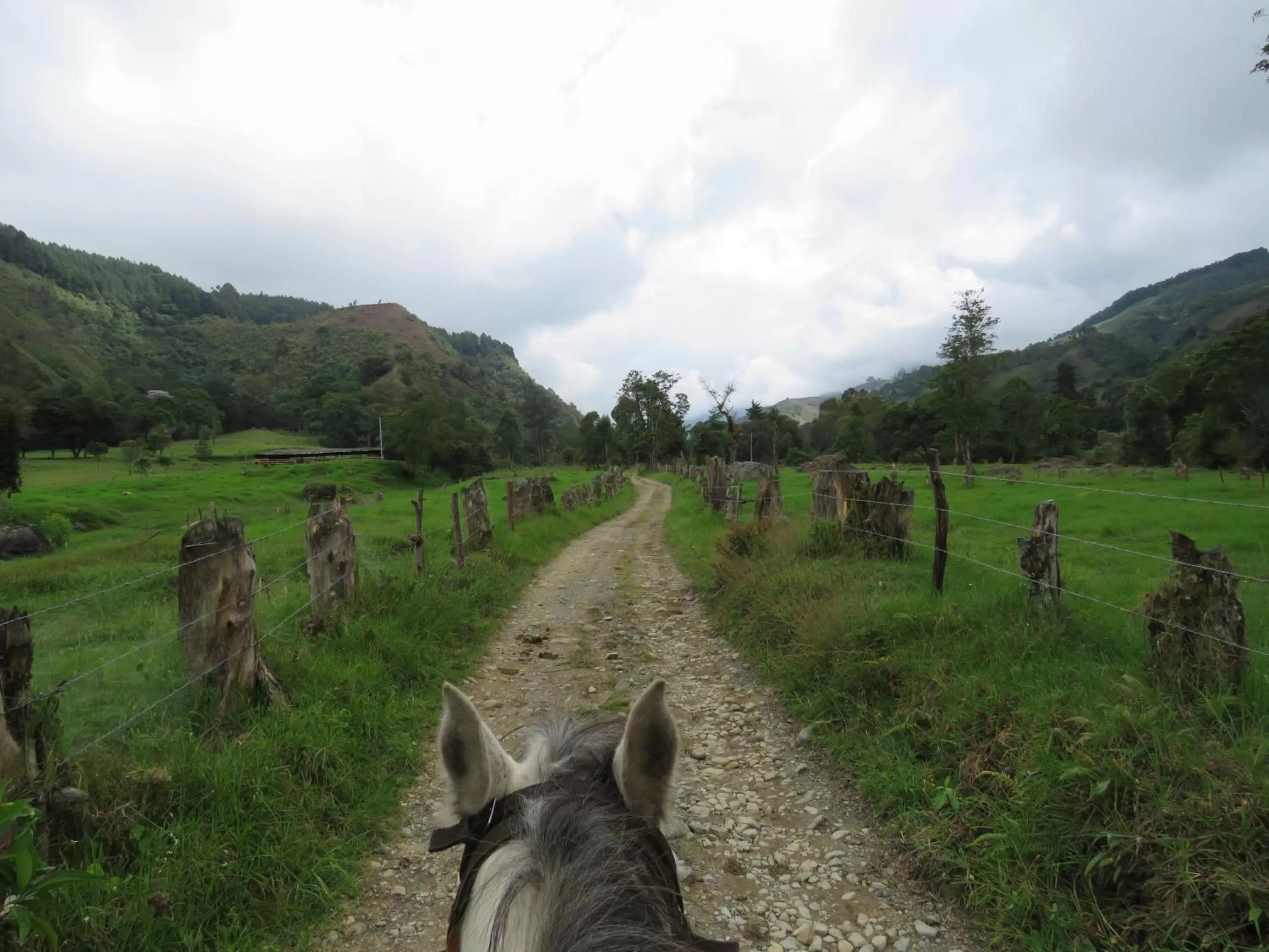 Natural landscape in La Cabaña Ecohotel - Valle del Cocora