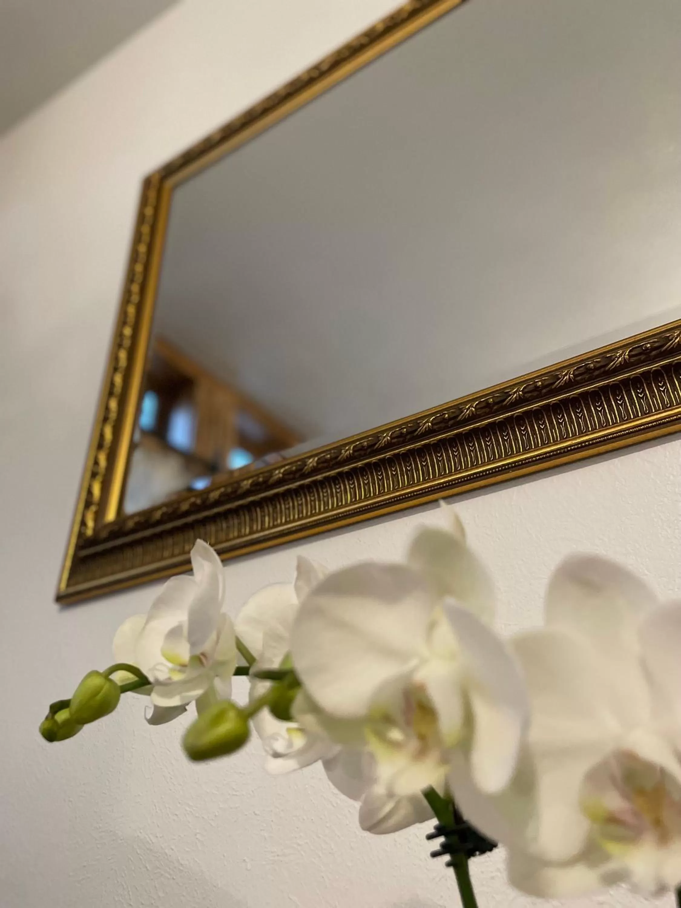 Decorative detail in Flora House Denver