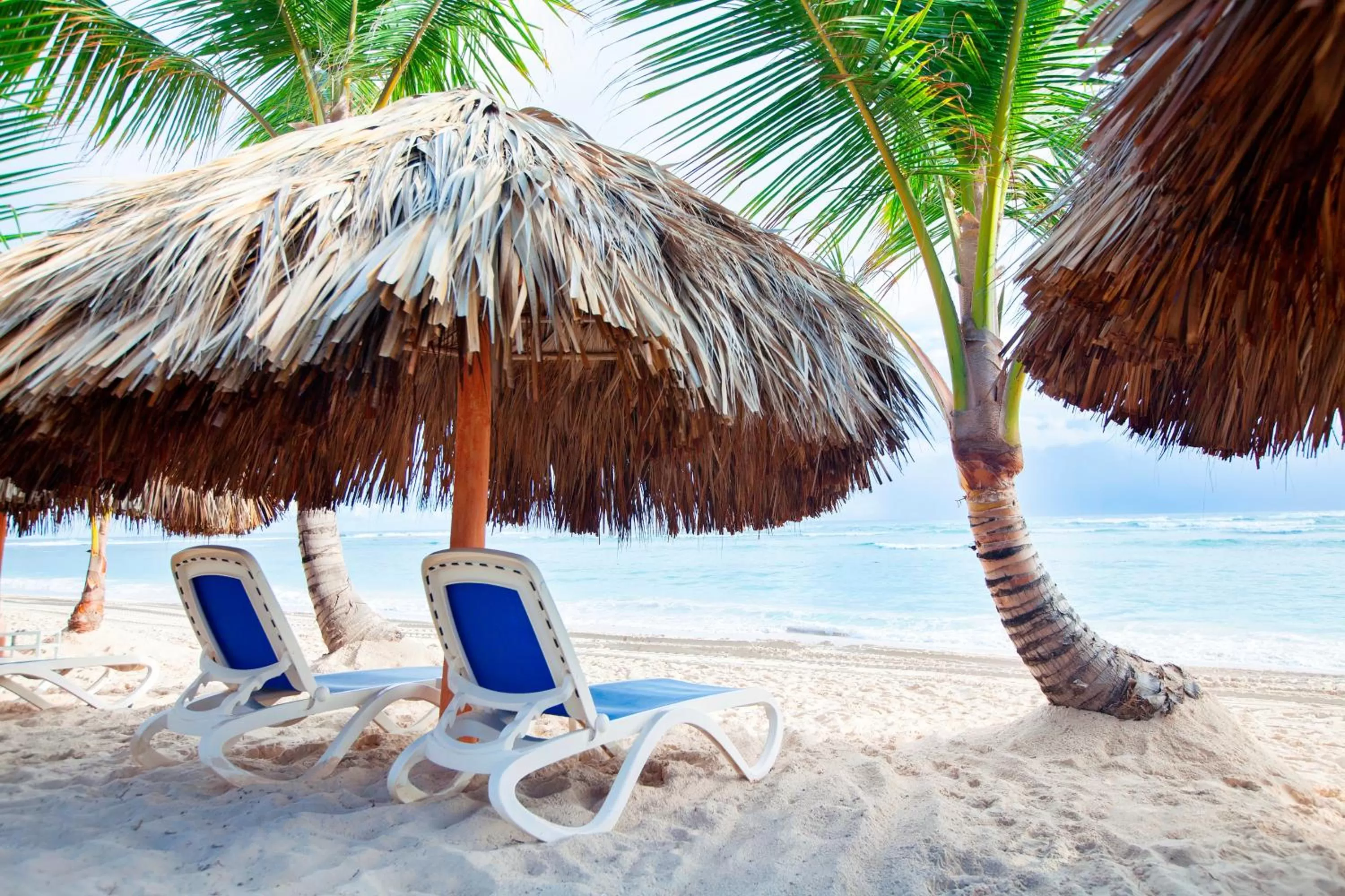 Beach in Majestic Elegance Punta Cana - All Inclusive