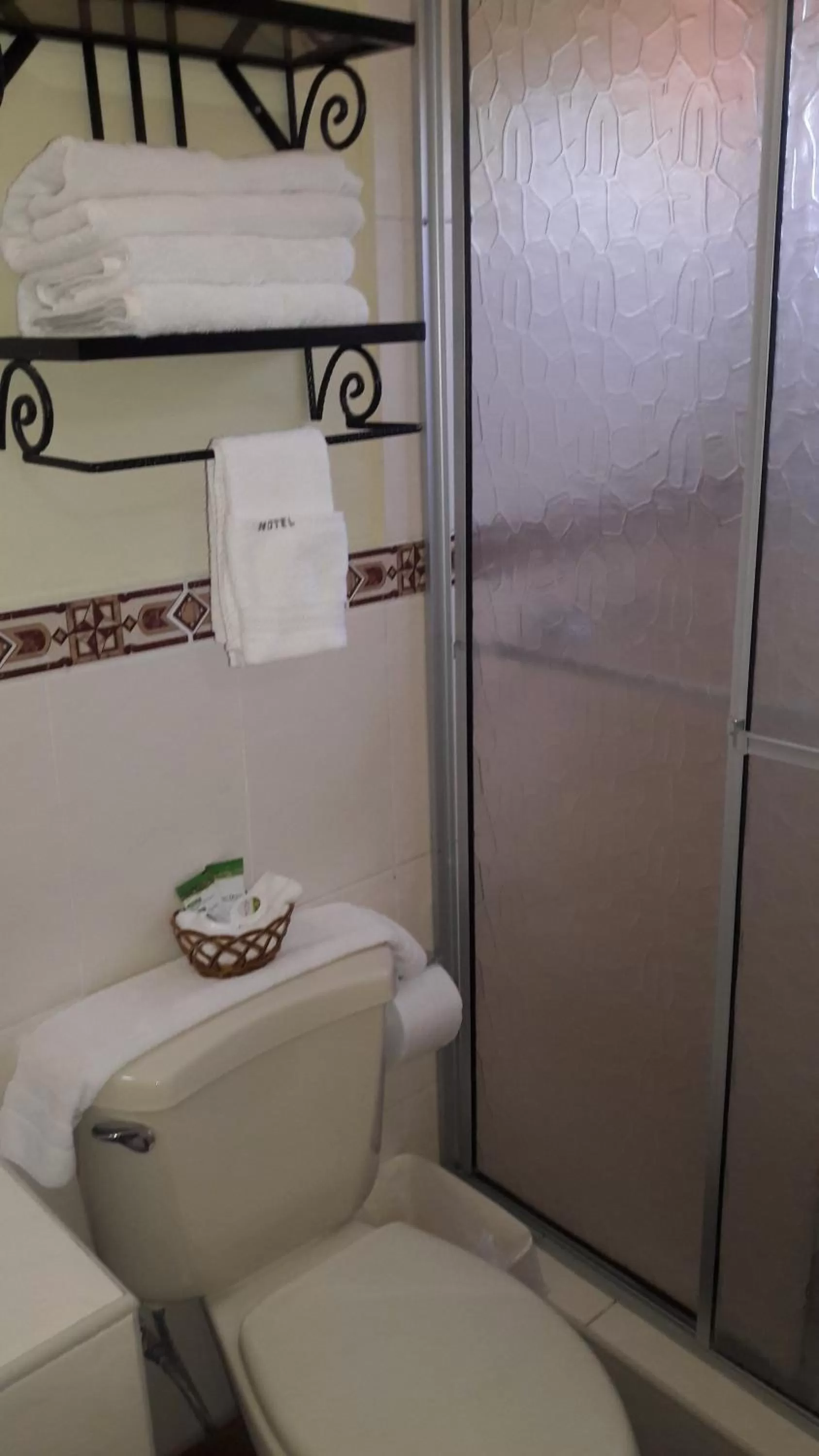 Toilet in Hotel Acropolis Maya