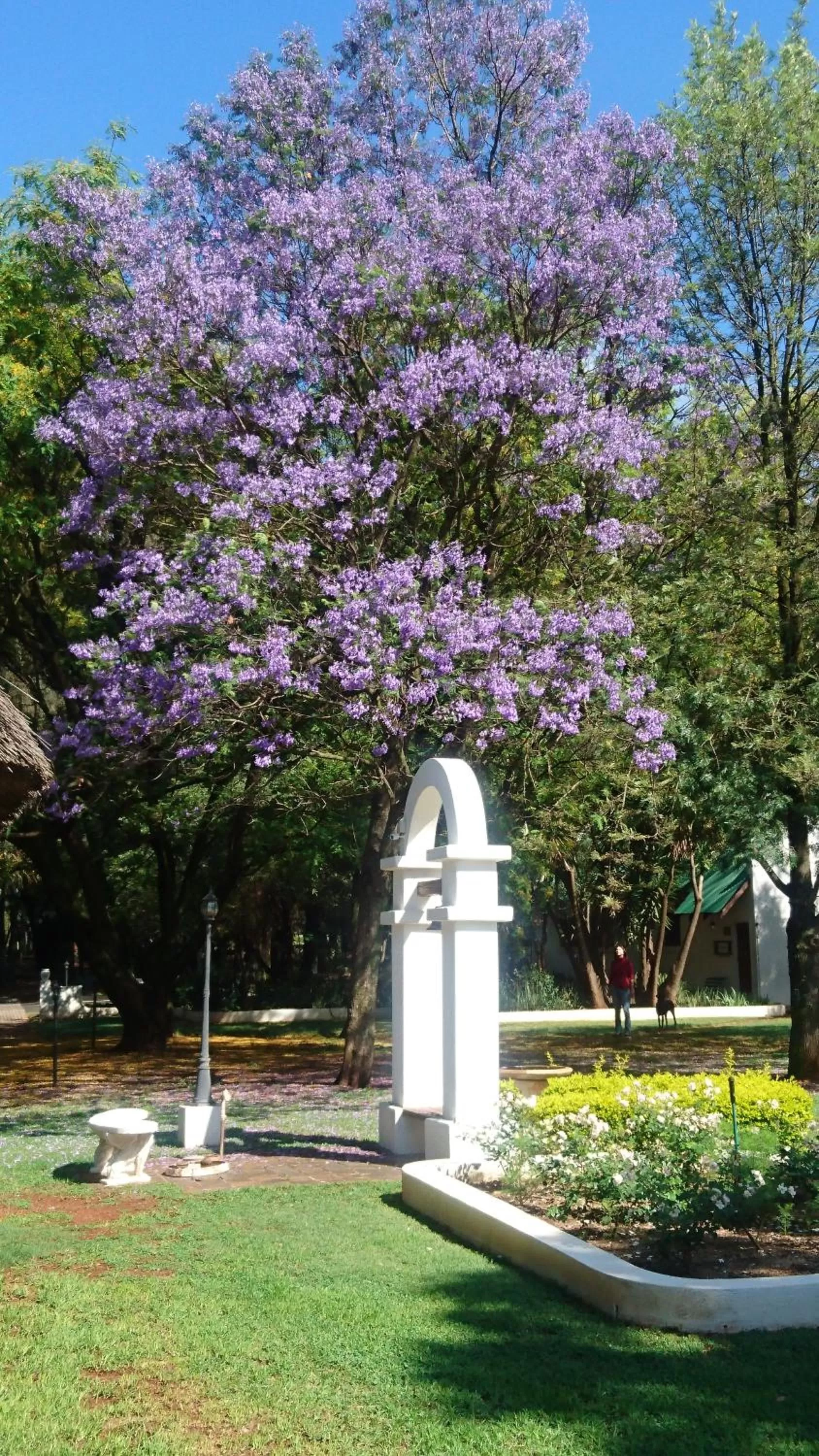 Garden in The Highveld Cape Inn