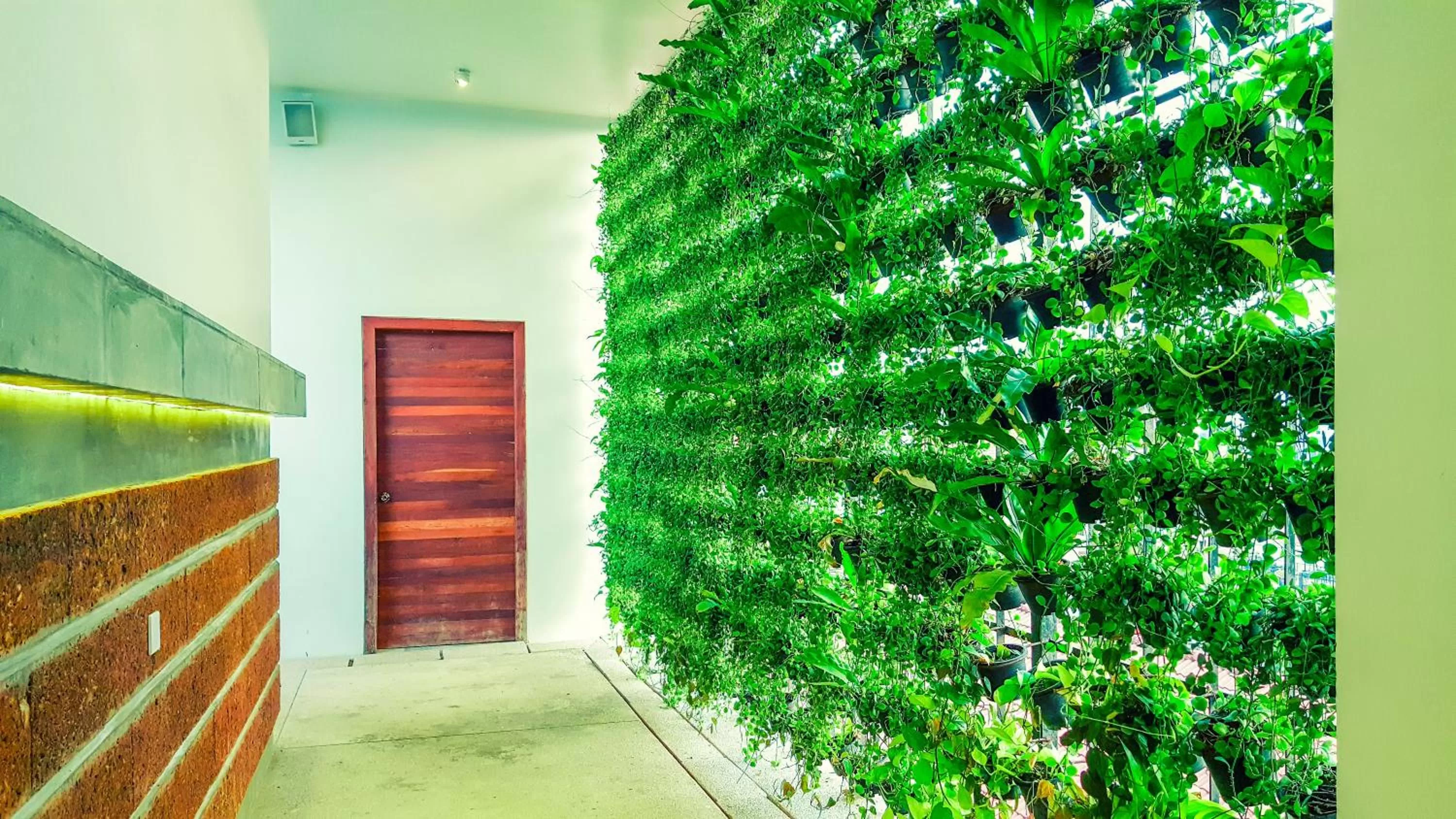 Garden in HARI Residence & Spa