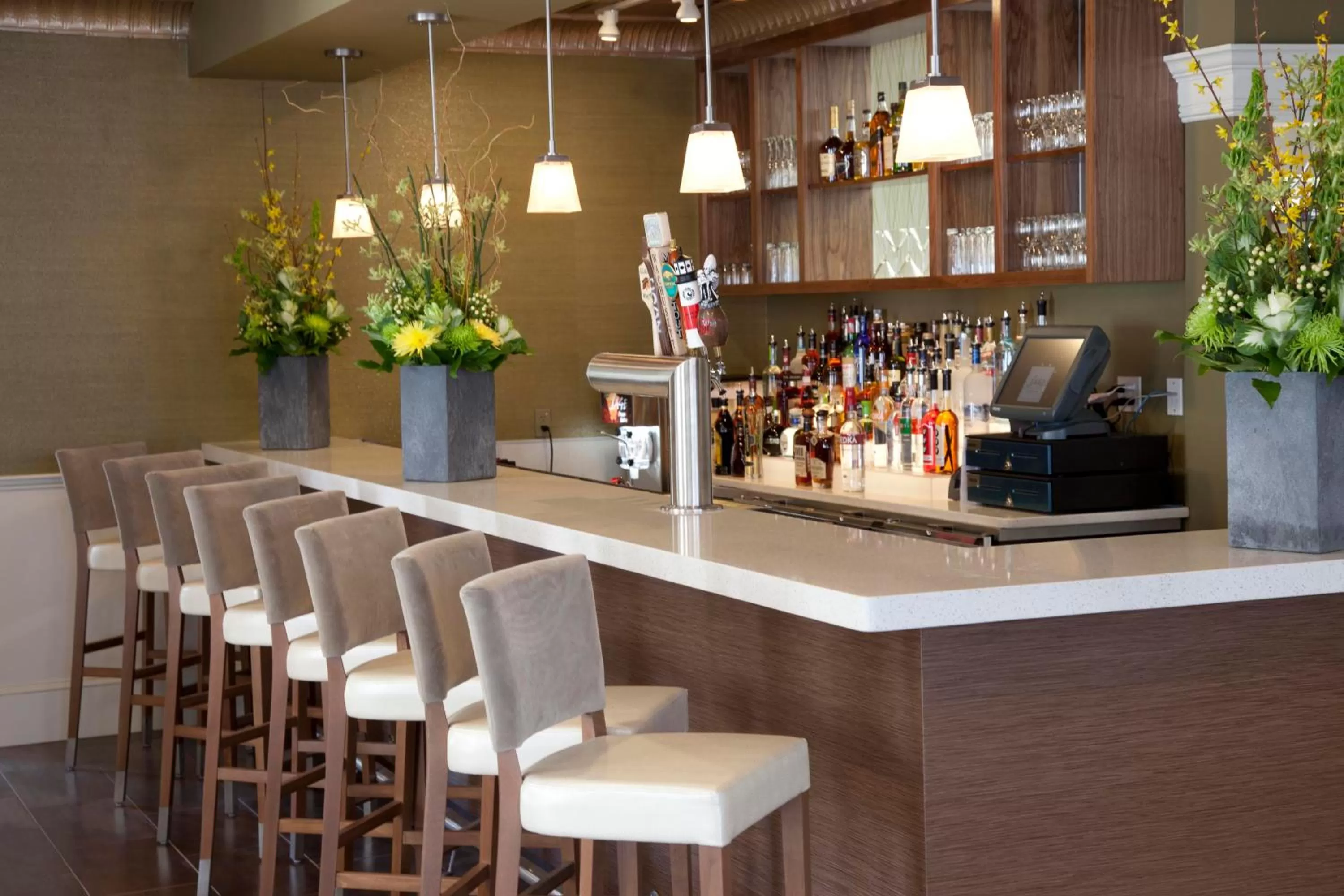 Lounge or bar, Lounge/Bar in Pilgrim House